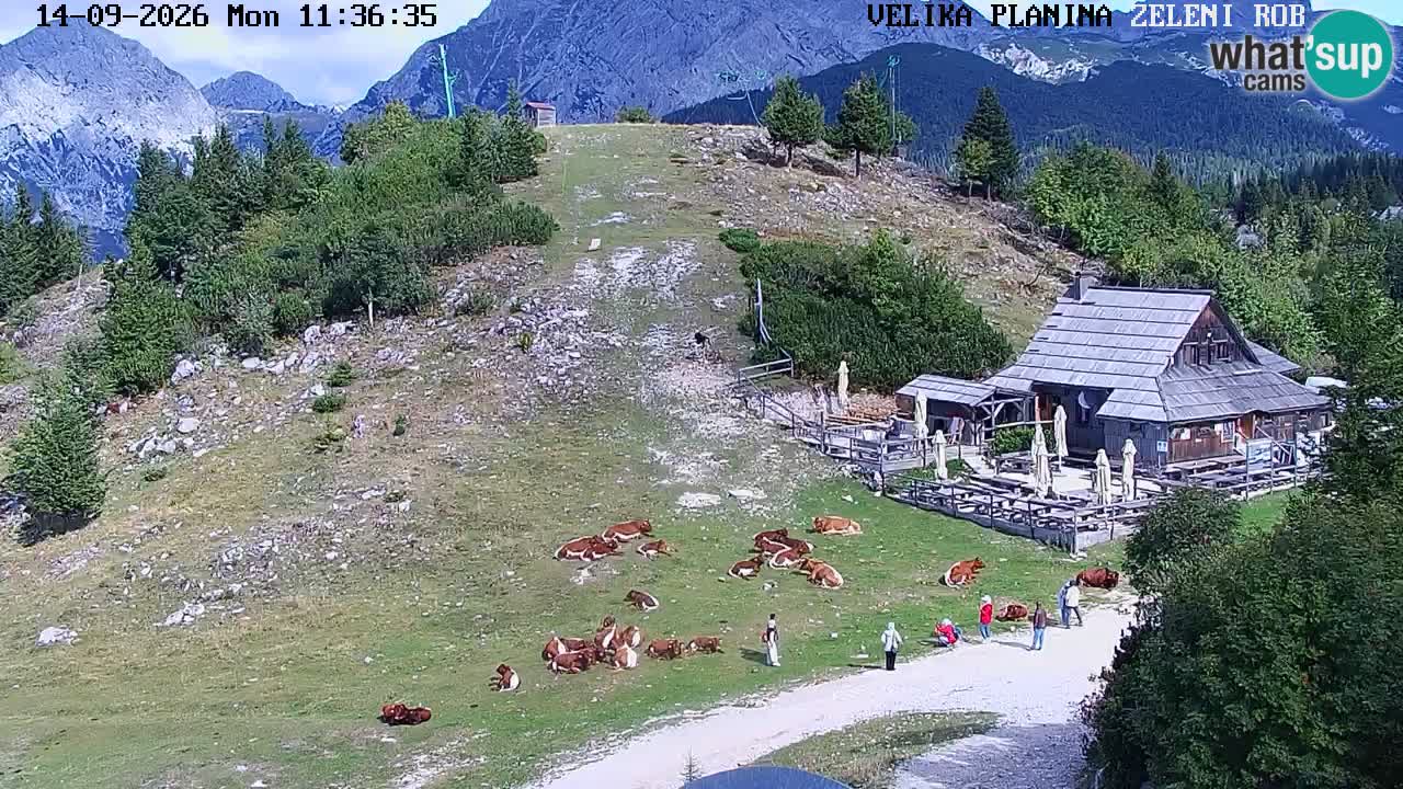 Zeleni Rob – Webcam live | Velika Planina