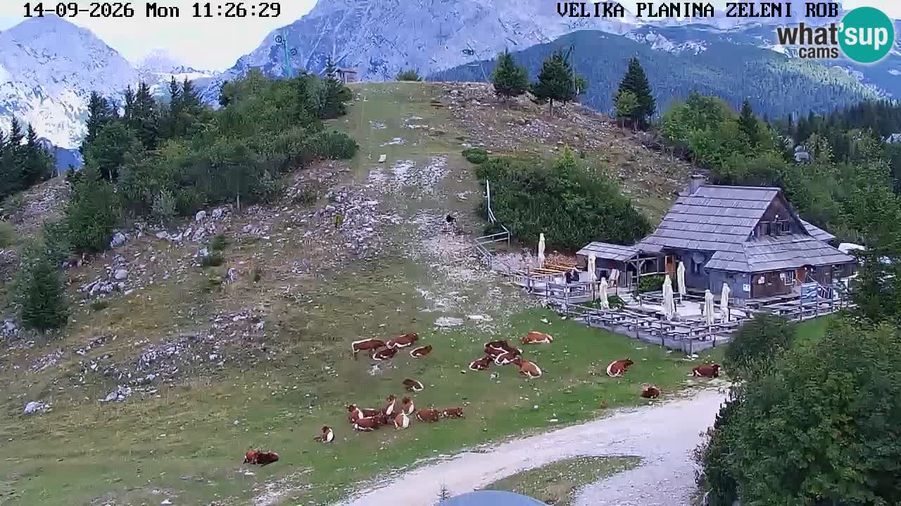 Zeleni Rob | Webcam en vivo Velika Planina