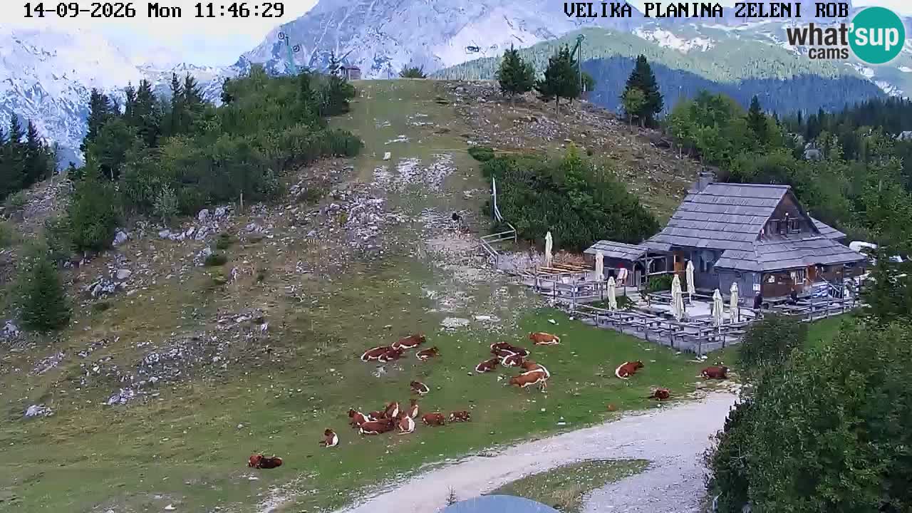 Zeleni Rob | Webcam en vivo Velika Planina