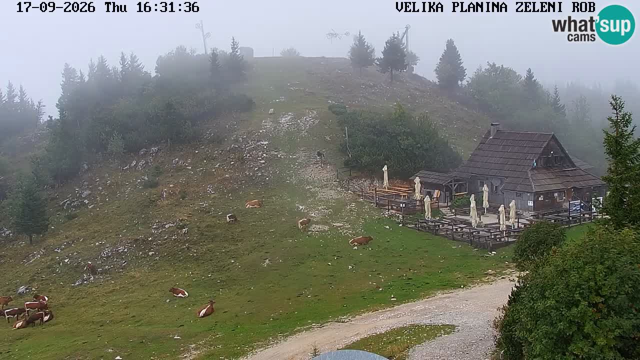 Zeleni Rob | Webcam live Velika Planina