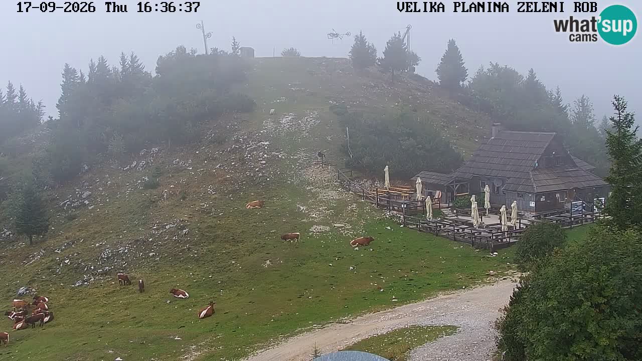 Zeleni Rob | Webcam en vivo Velika Planina