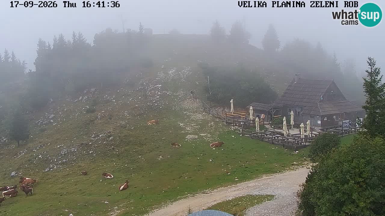 Zeleni Rob | Webcam live Velika Planina