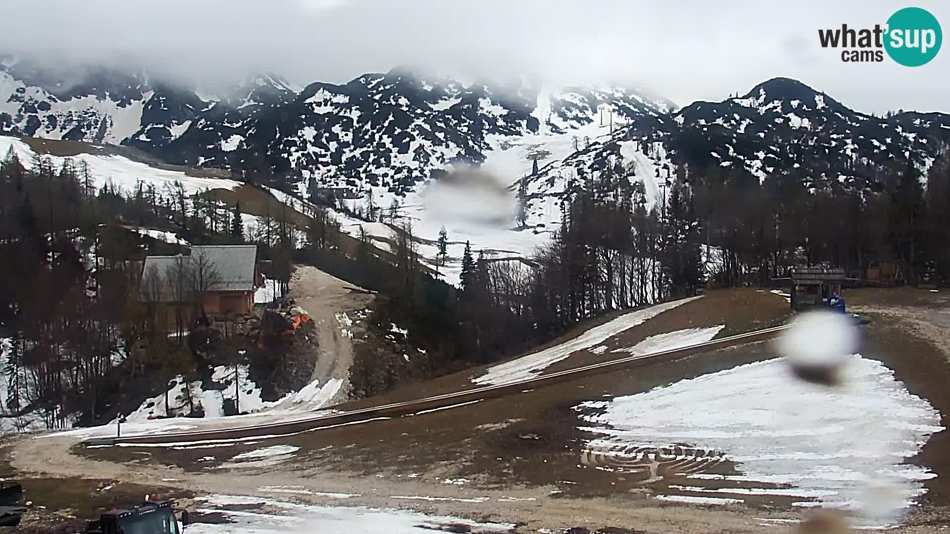 Live cam Station ski Vogel