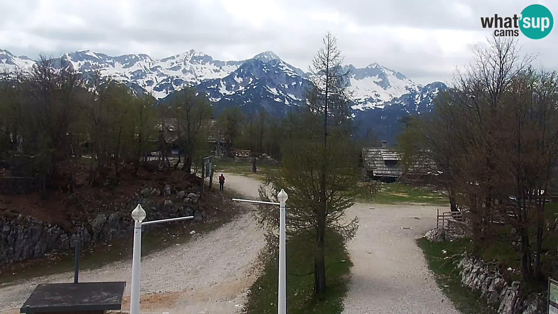 Webcam Ski resort Vogel