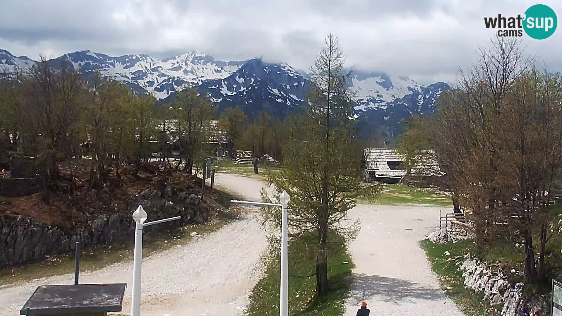 Webcam Ski resort Vogel