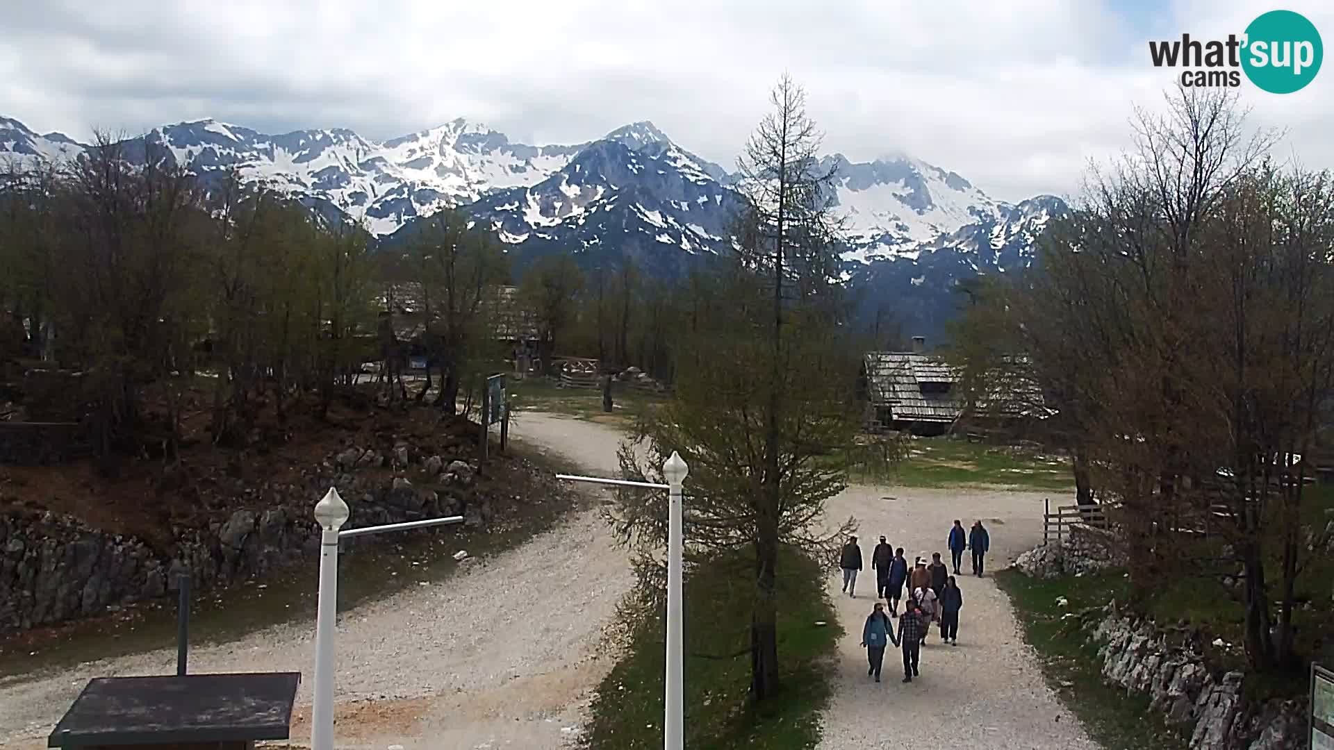 Webcam Skigebiet Vogel