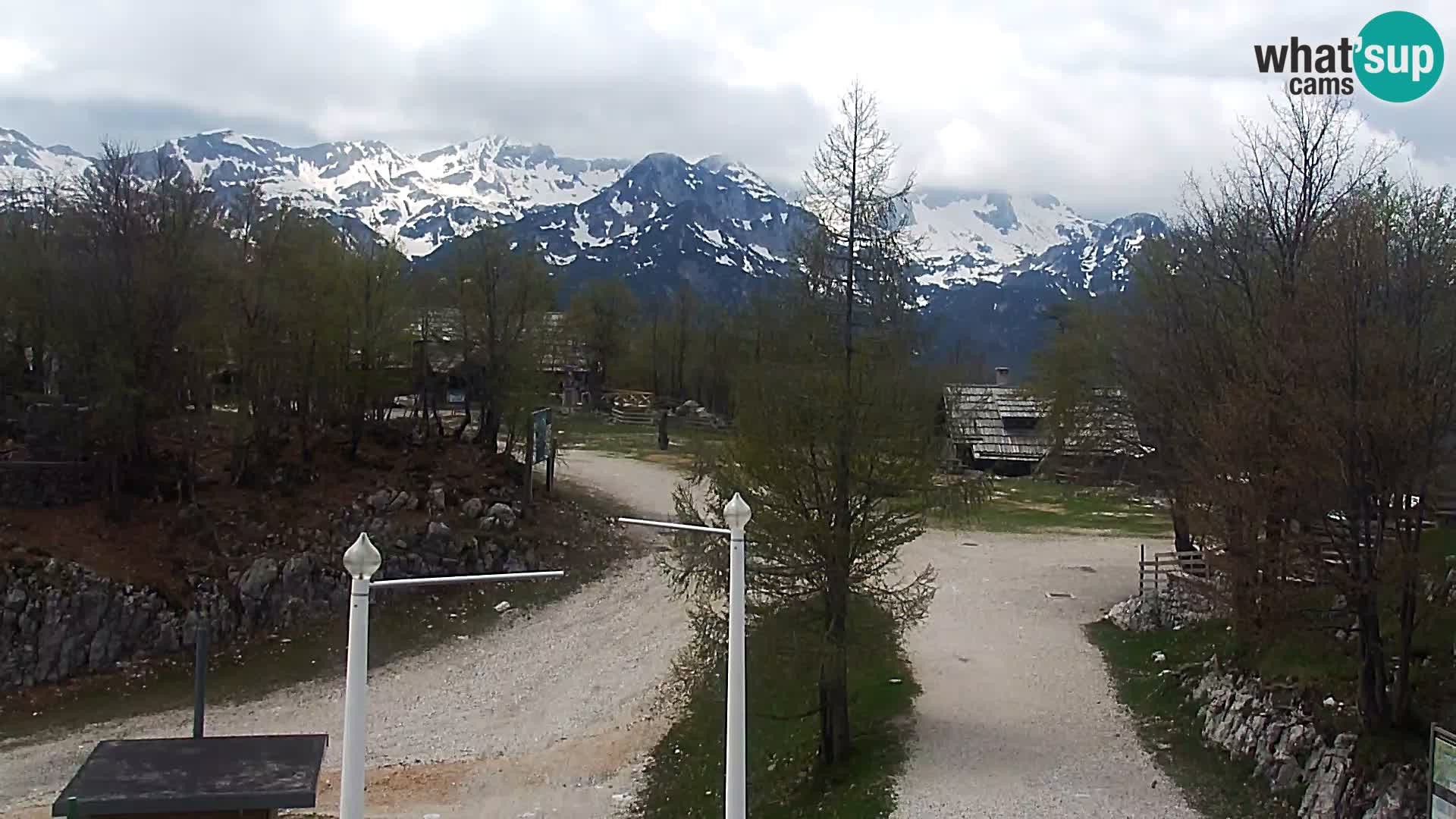 Webcam Stazione sciistica Vogel