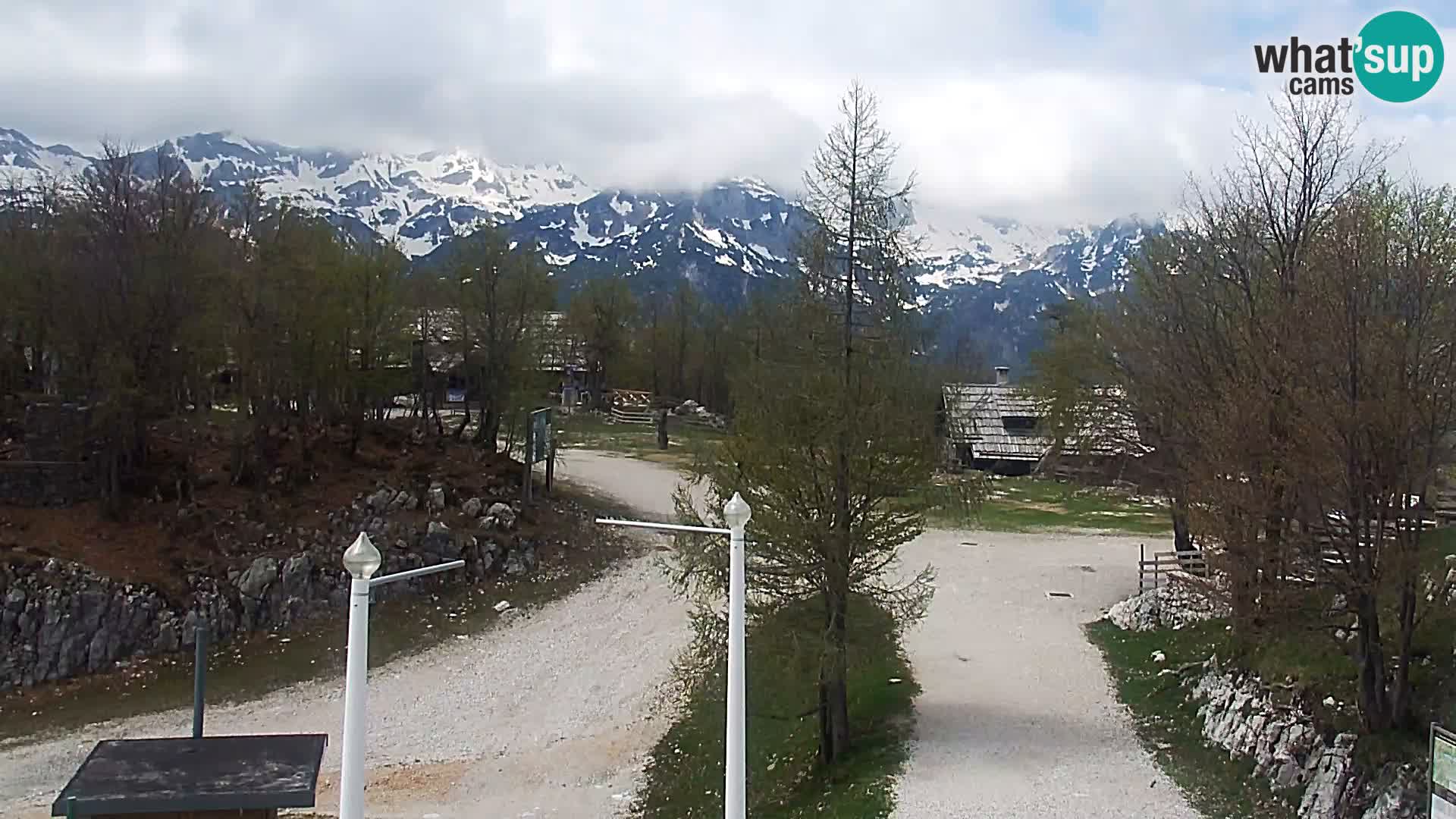 Live cam Station ski Vogel