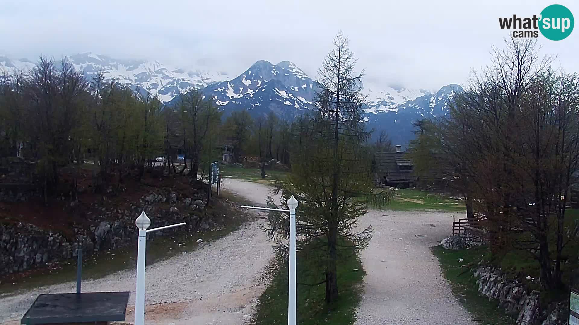 Spletna kamera Smučišče Kamera v zivo Vogel – postaja nihalke