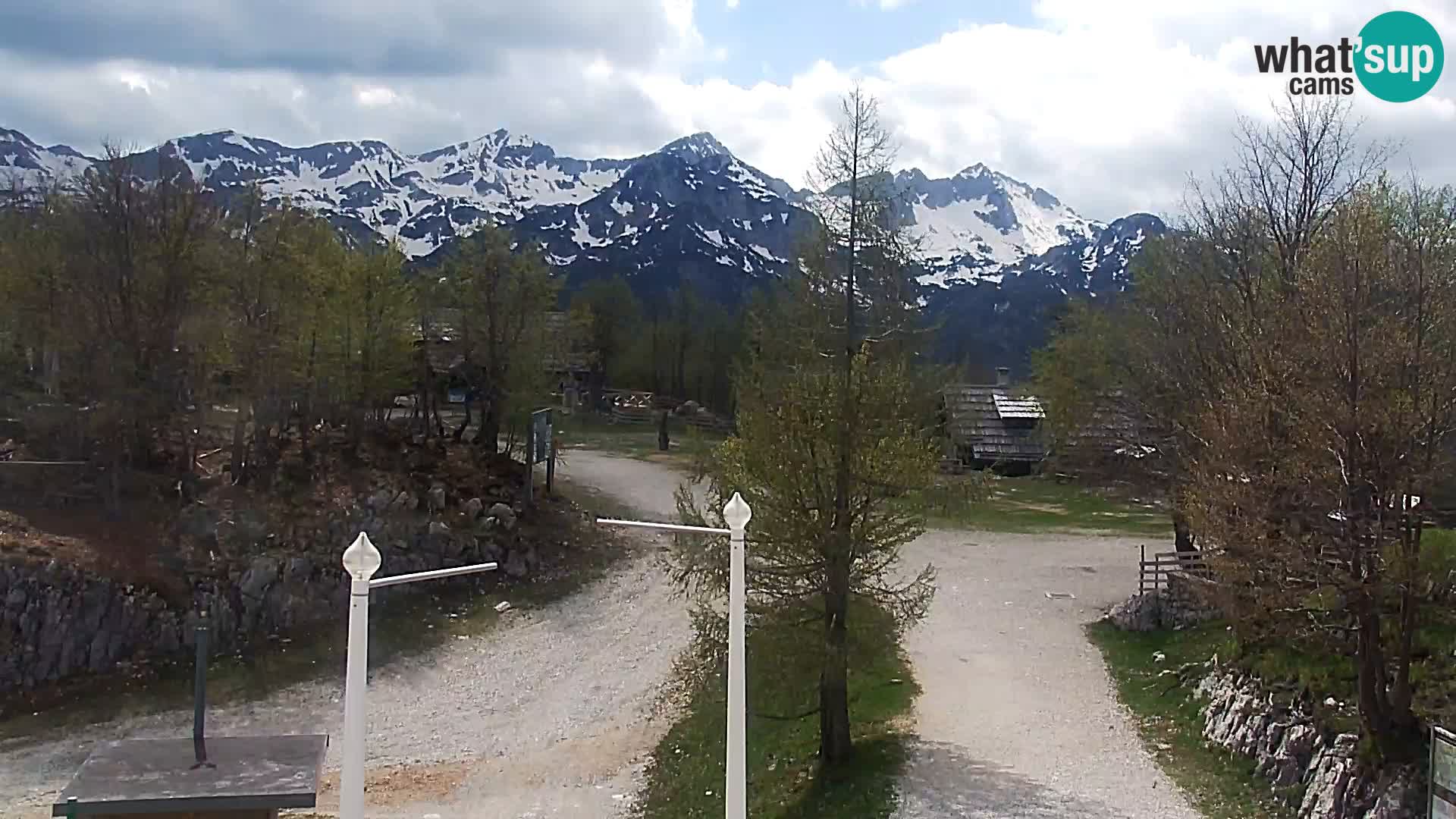 Webcam Ski resort Vogel