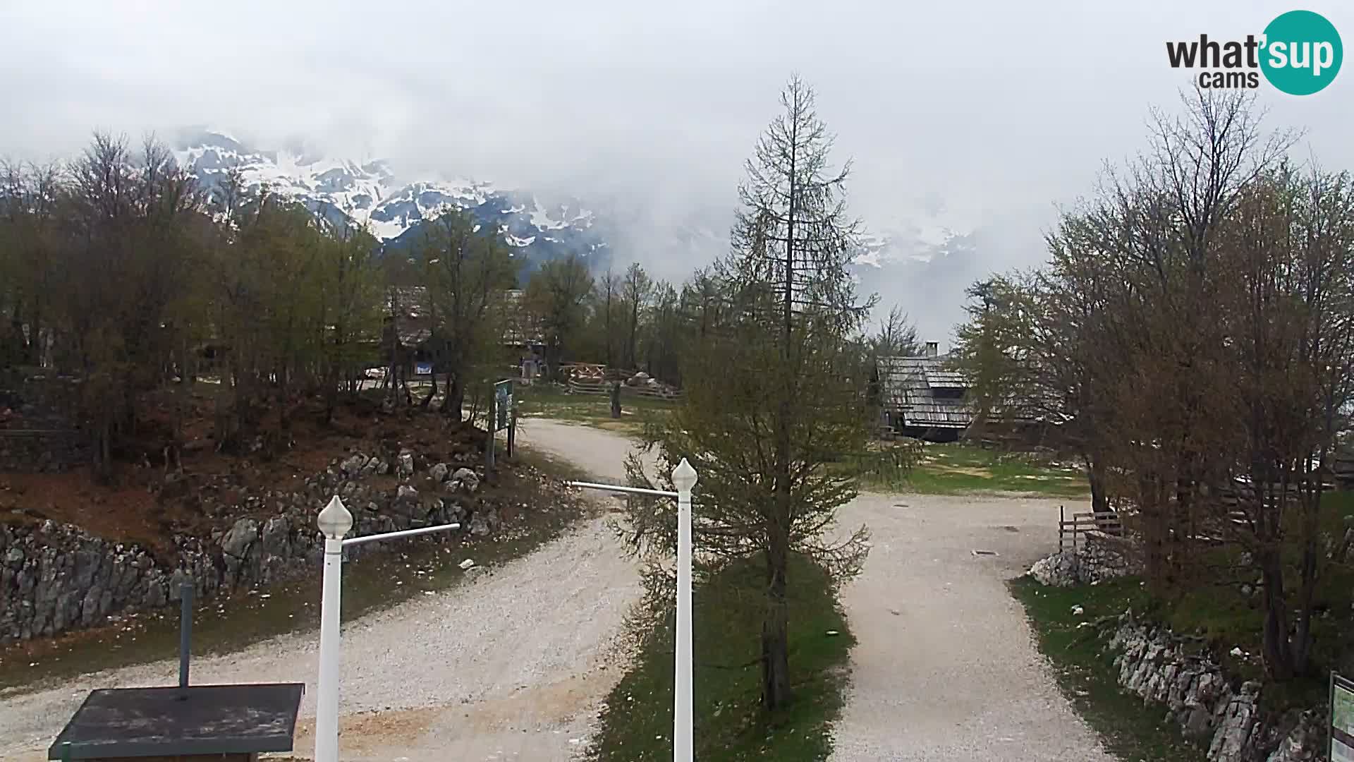 Webcam Skigebiet Vogel