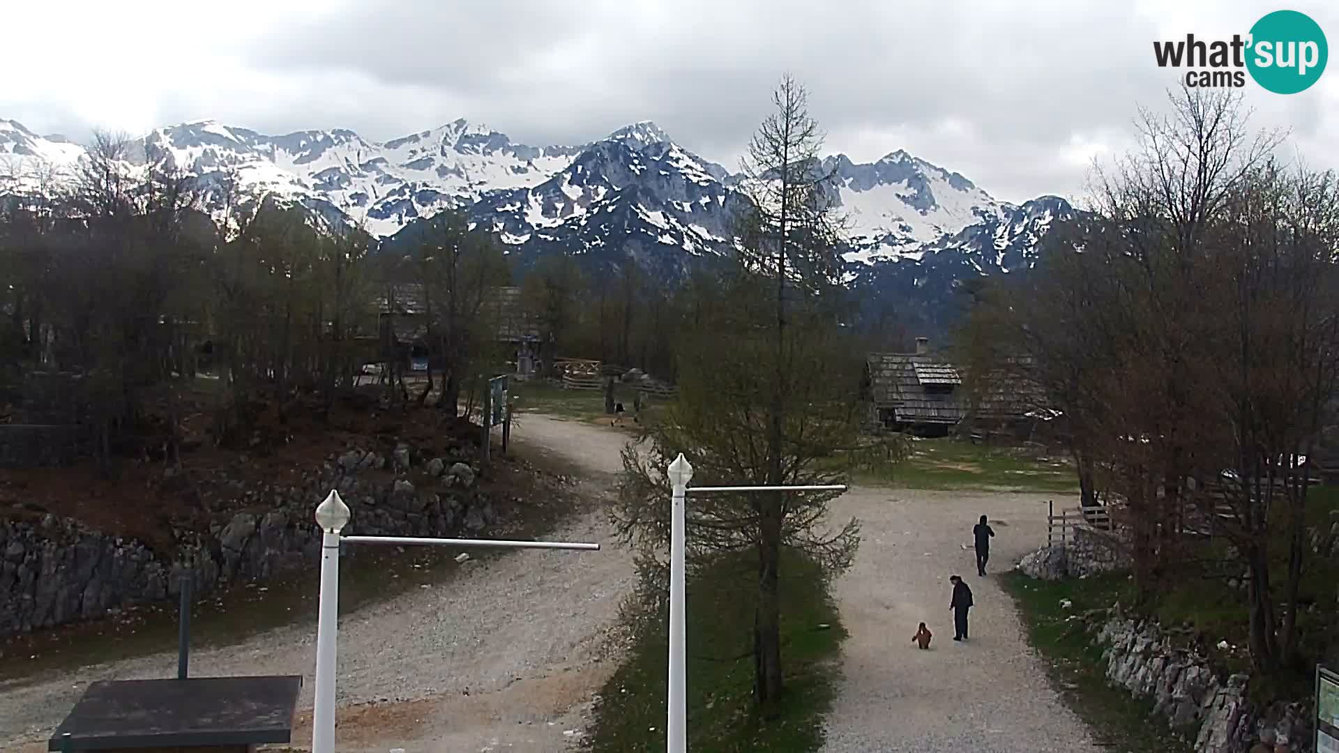 Webcam Ski resort Vogel