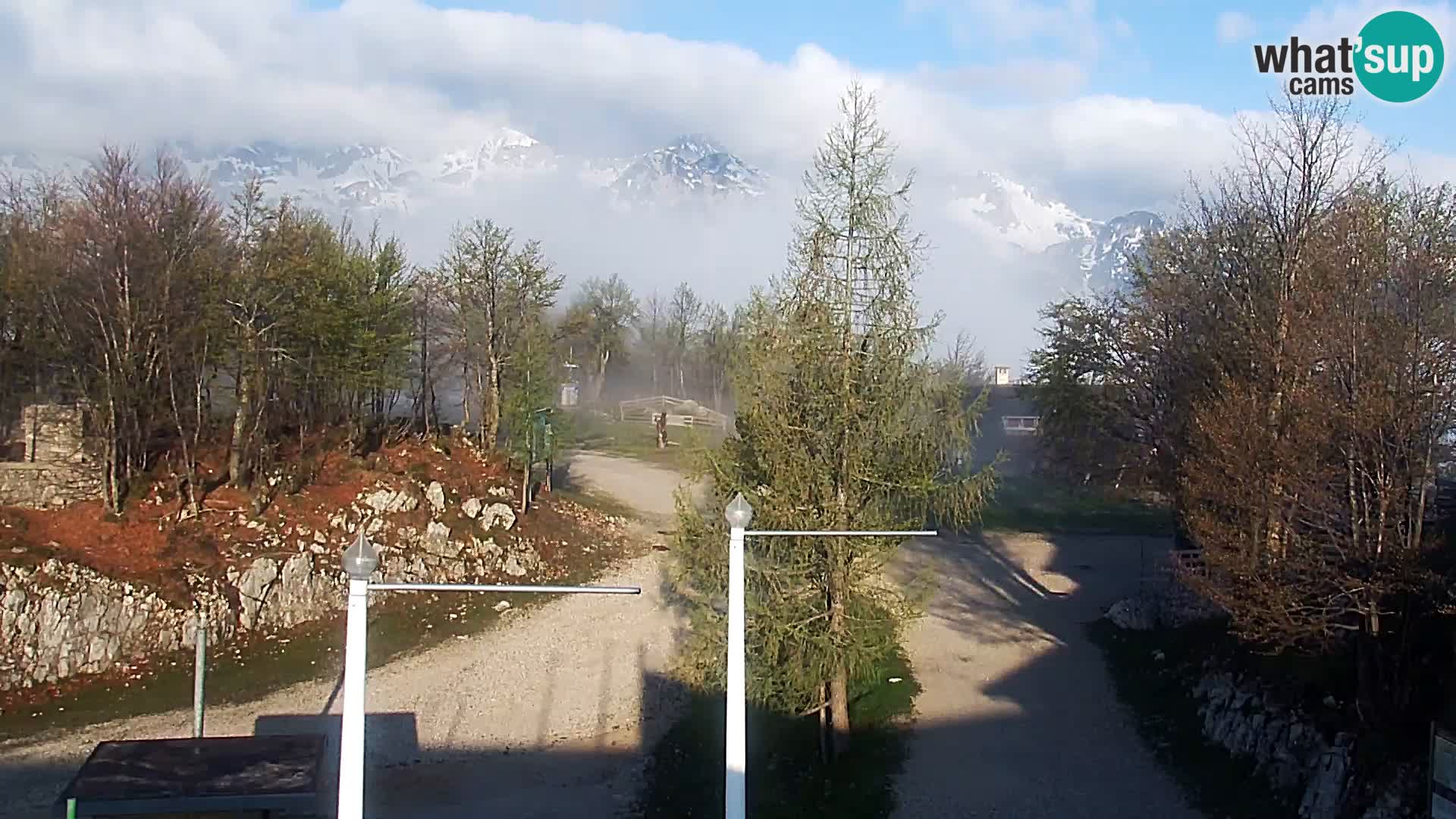 Live cam Station ski Vogel