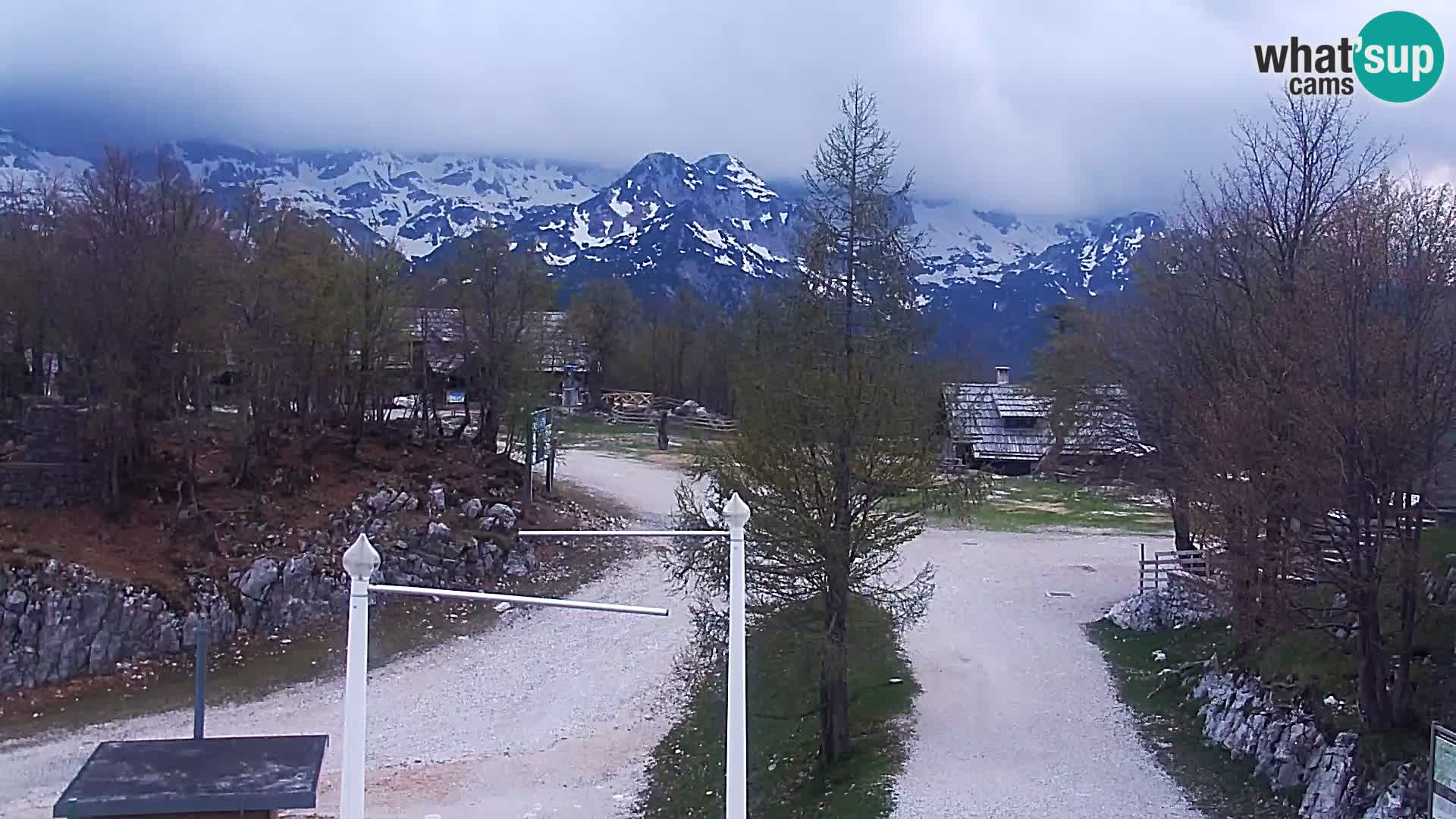 Live cam Station ski Vogel