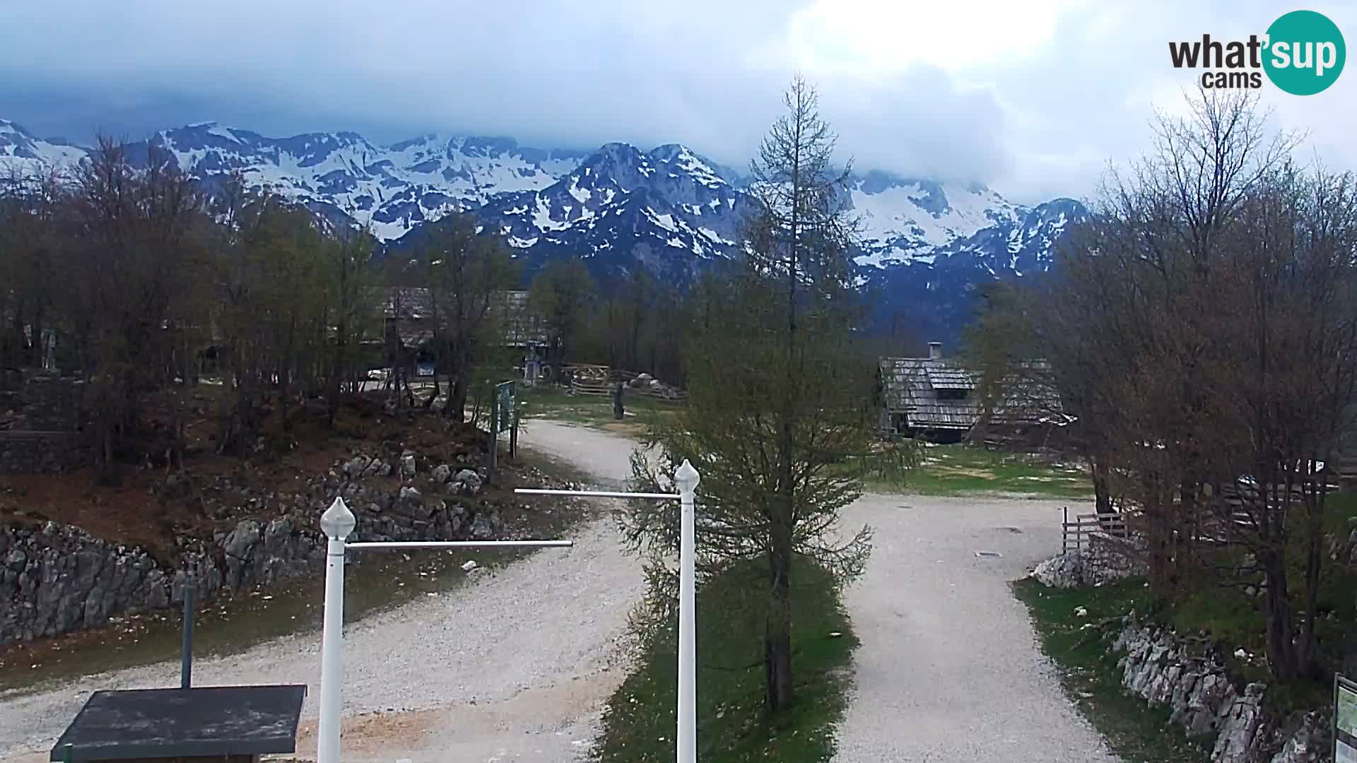 Webcam Skigebiet Vogel