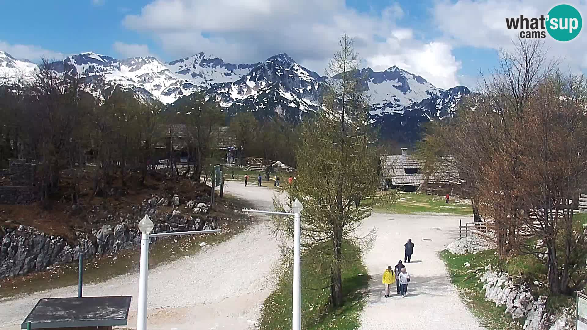 Webcam Ski resort Vogel