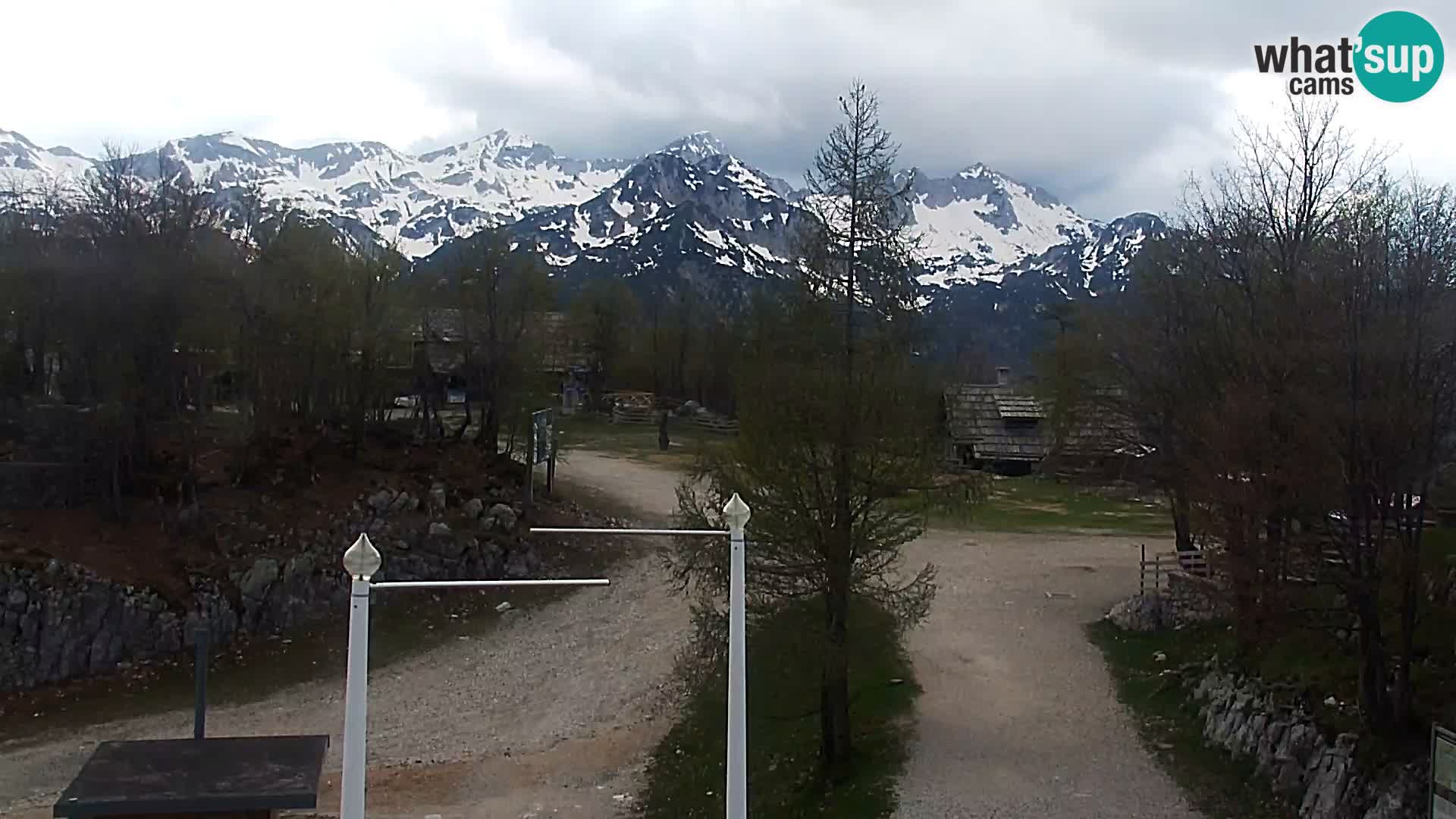 Webcam Ski resort Vogel