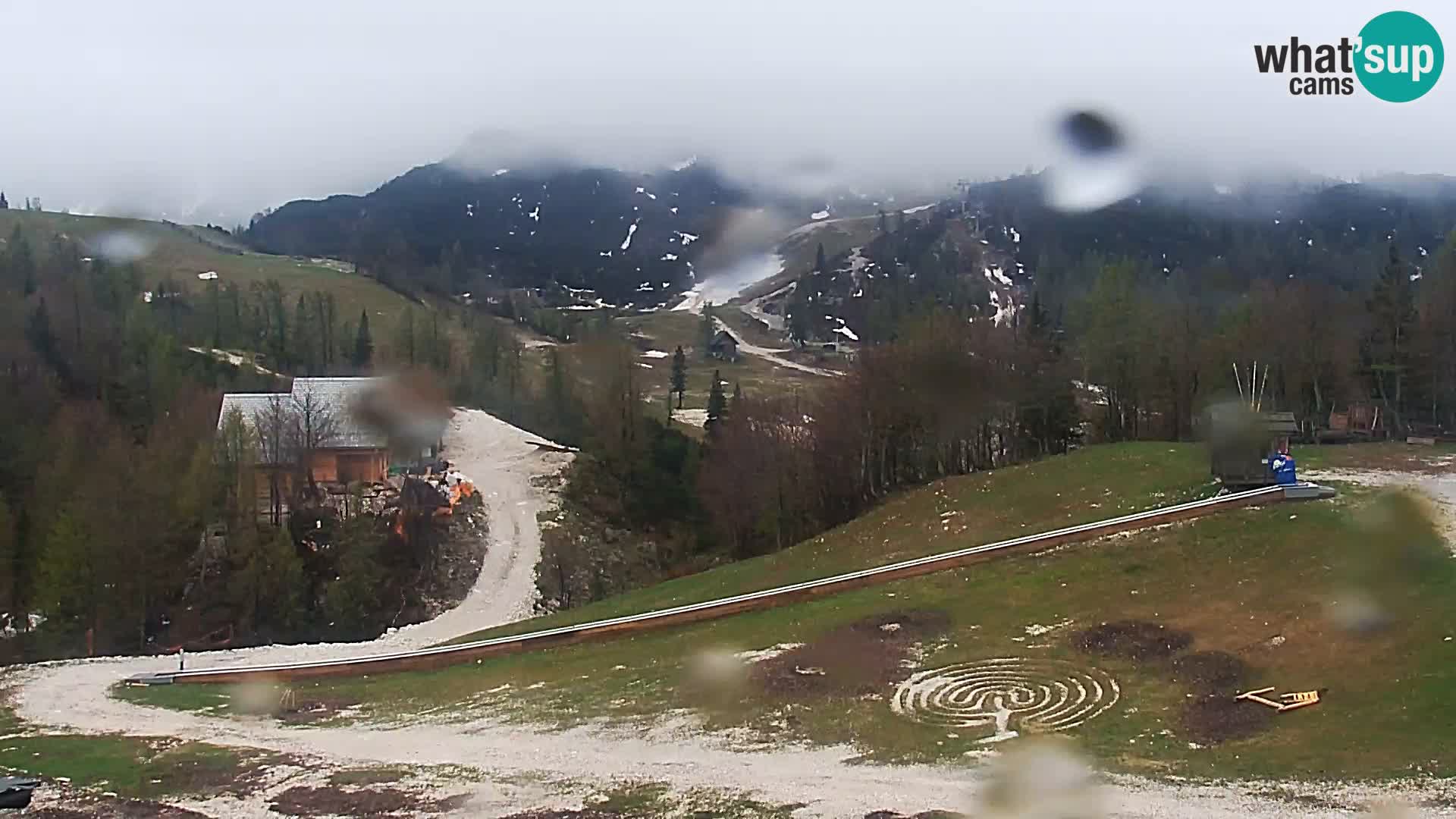 Webcam Skigebiet Vogel