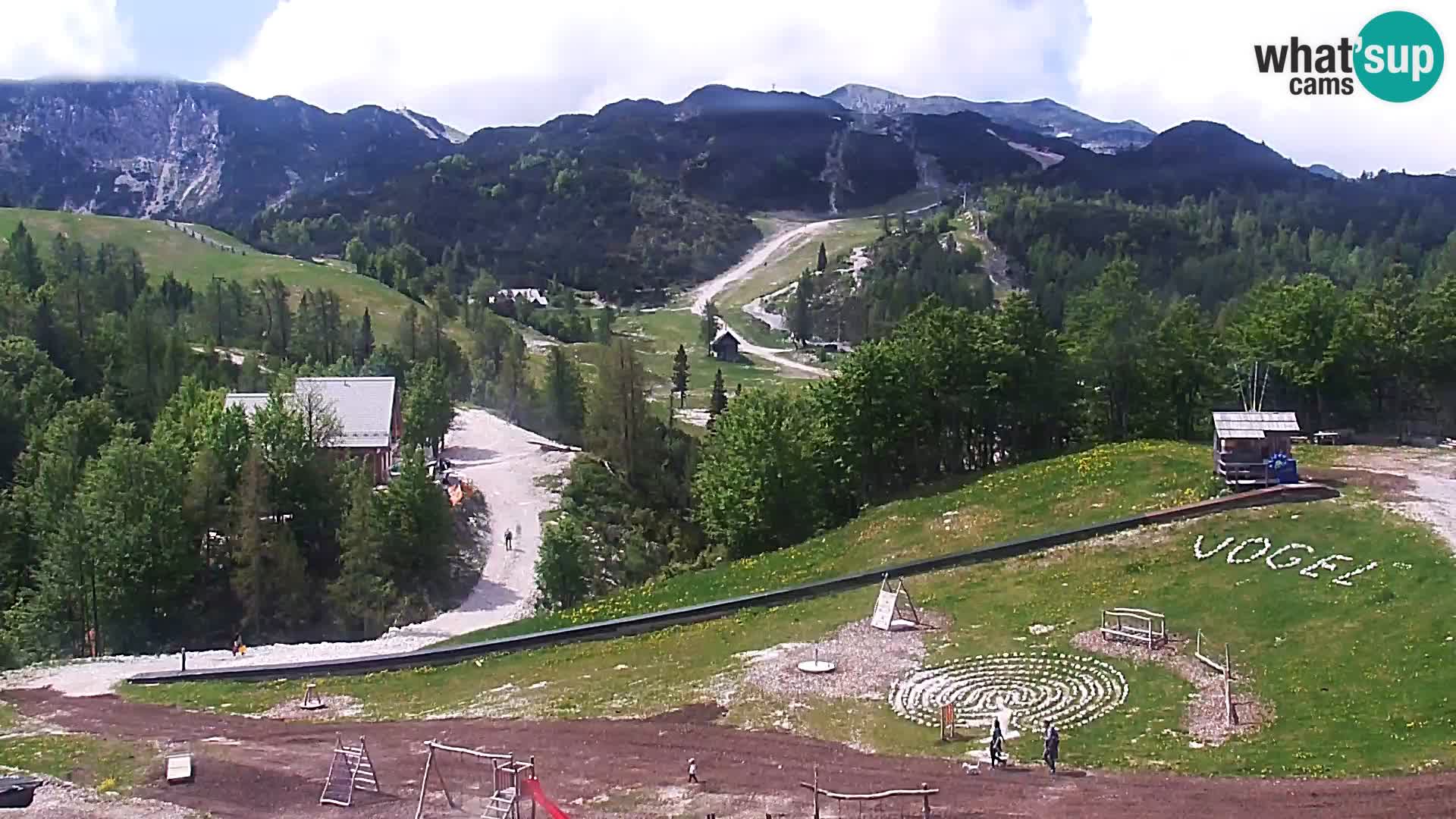 Live cam Station ski Vogel