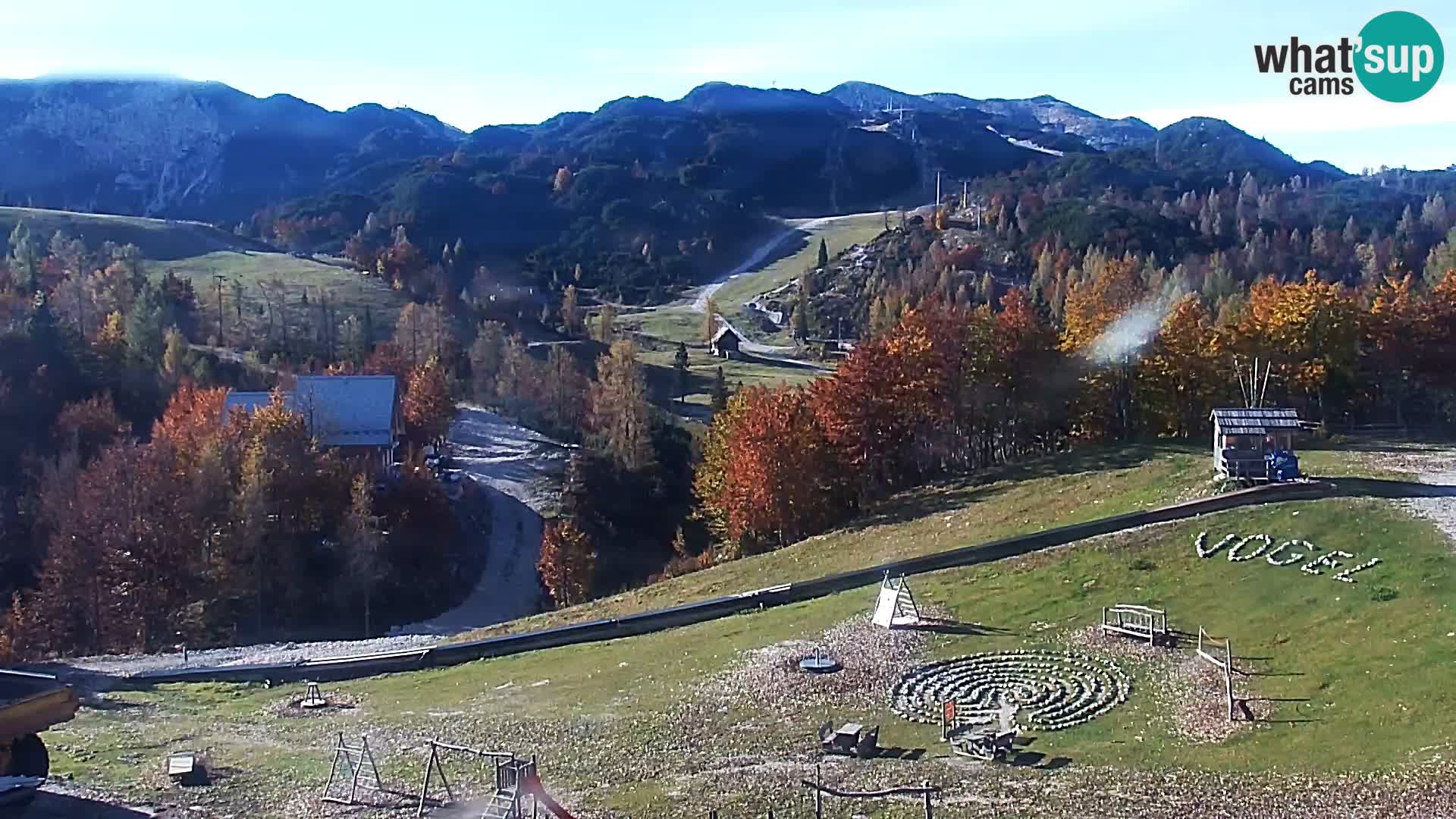 Webcam Skigebiet Vogel