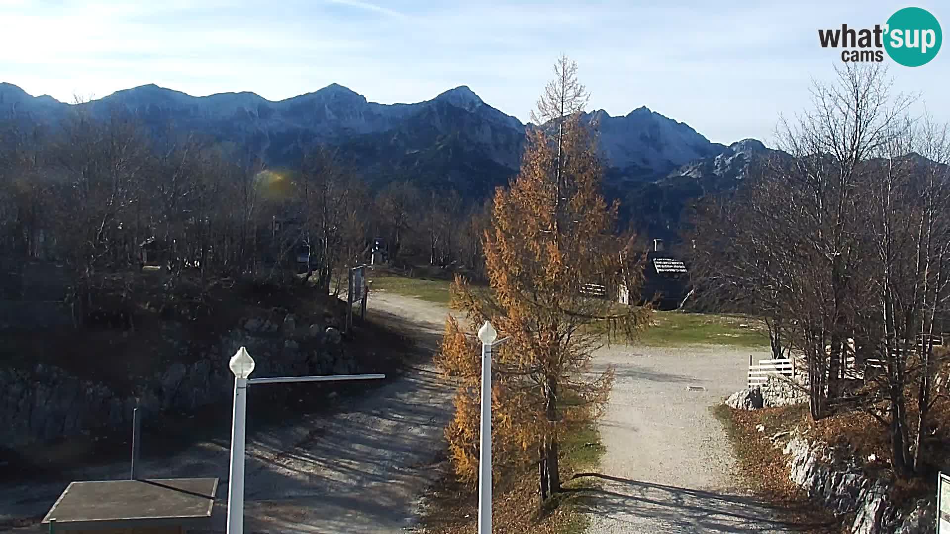 Live cam Station ski Vogel