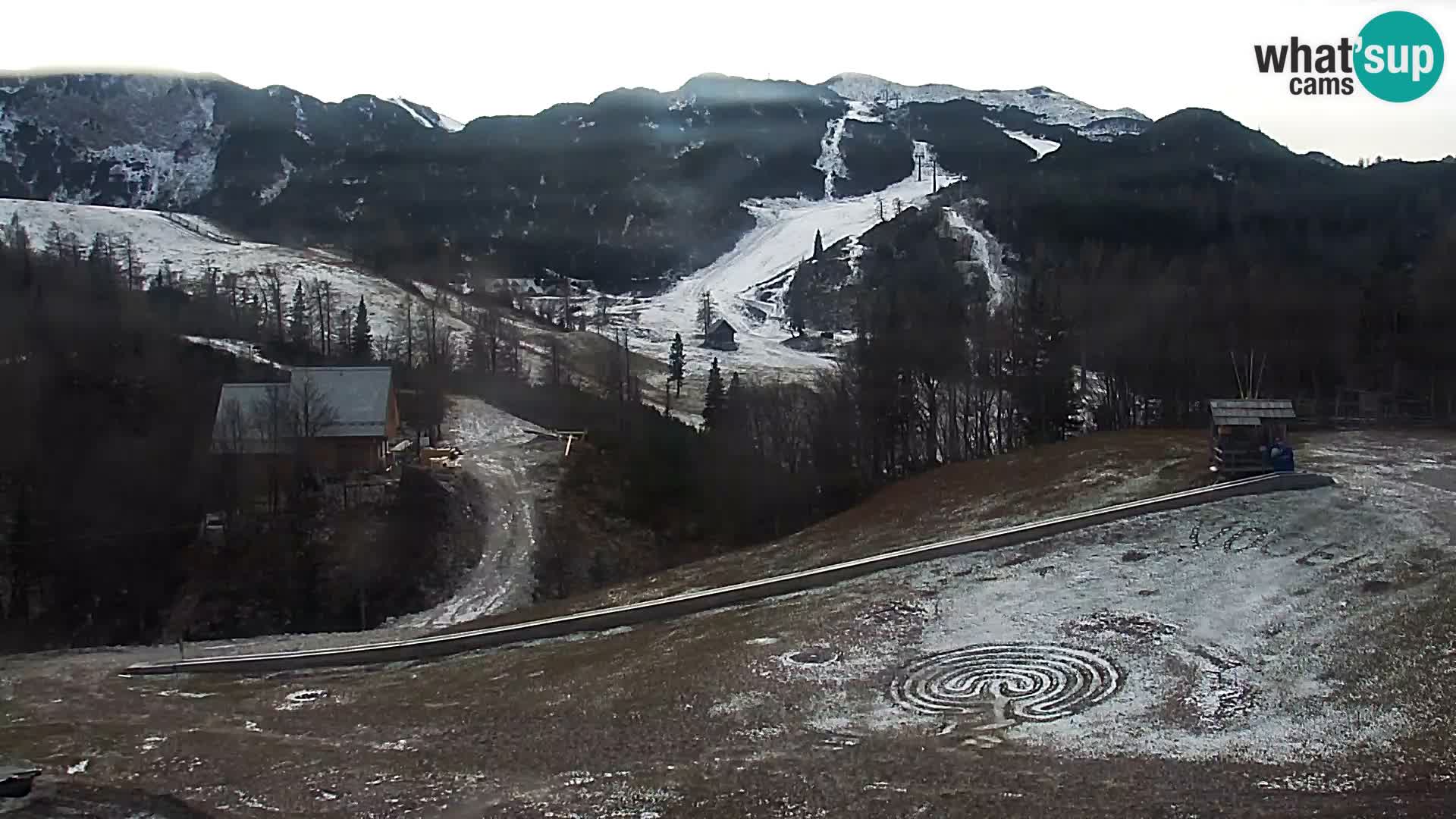 Webcam Skigebiet Vogel