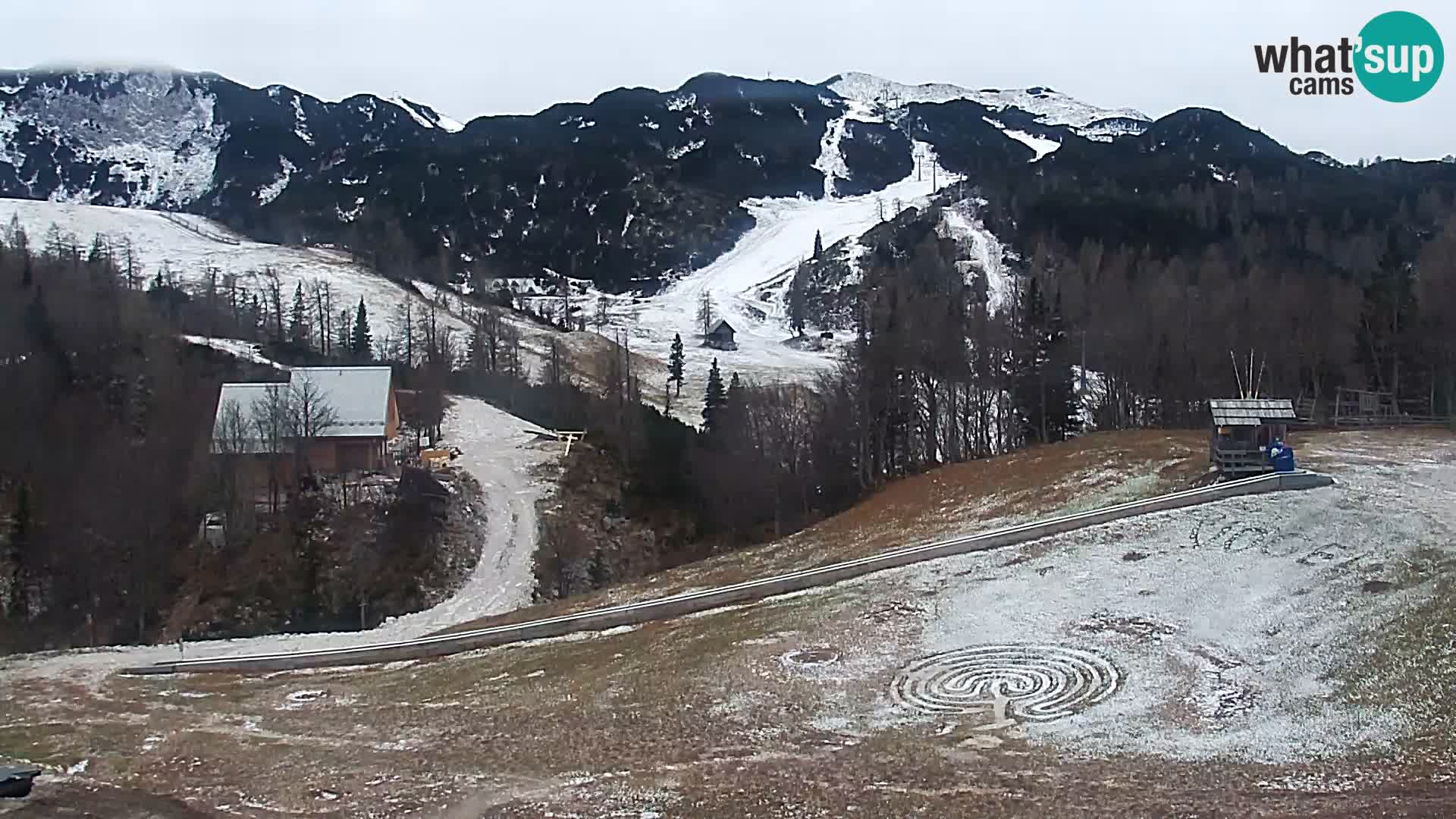 Webcam Skigebiet Vogel