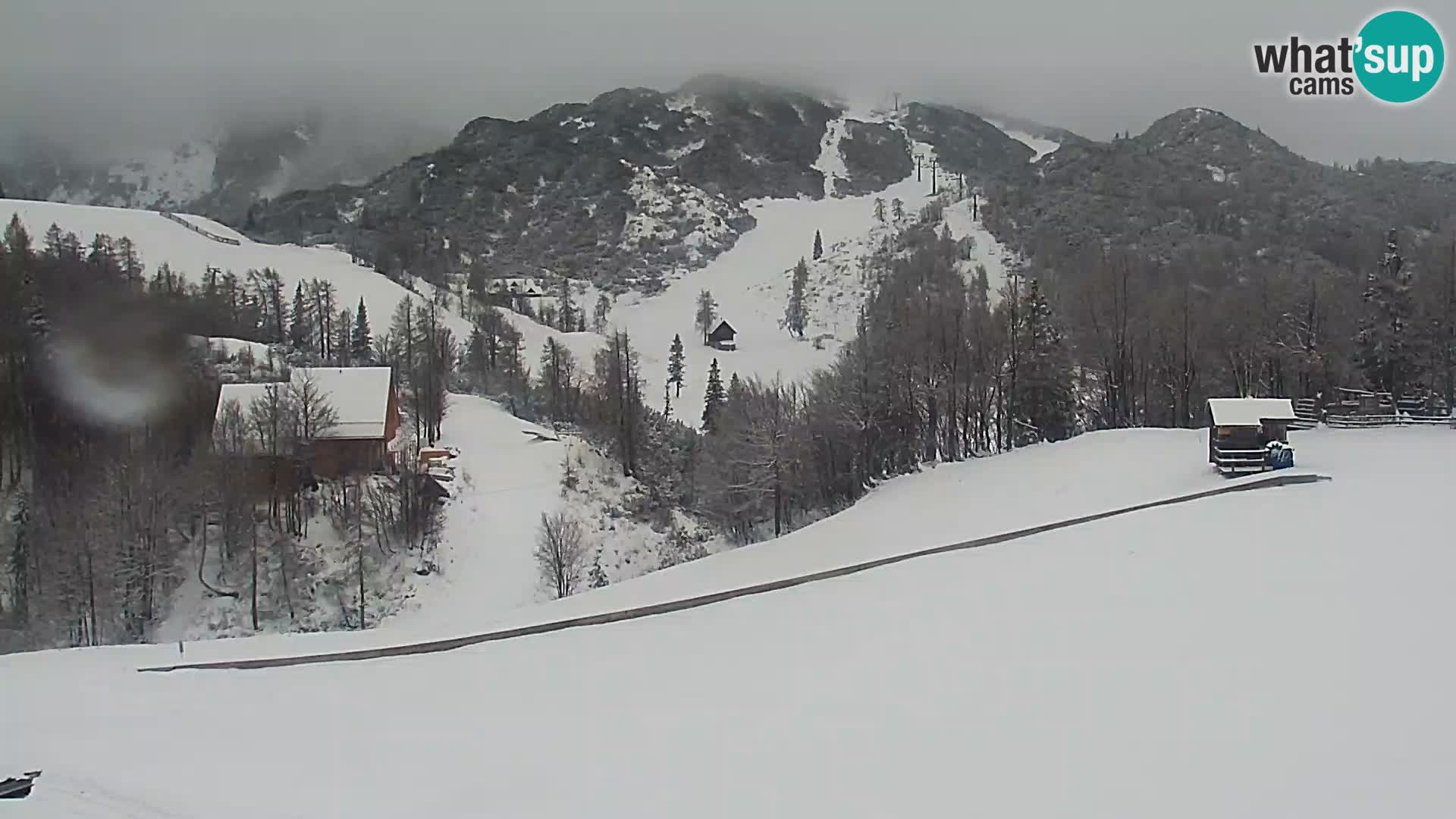 Webcam Skigebiet Vogel