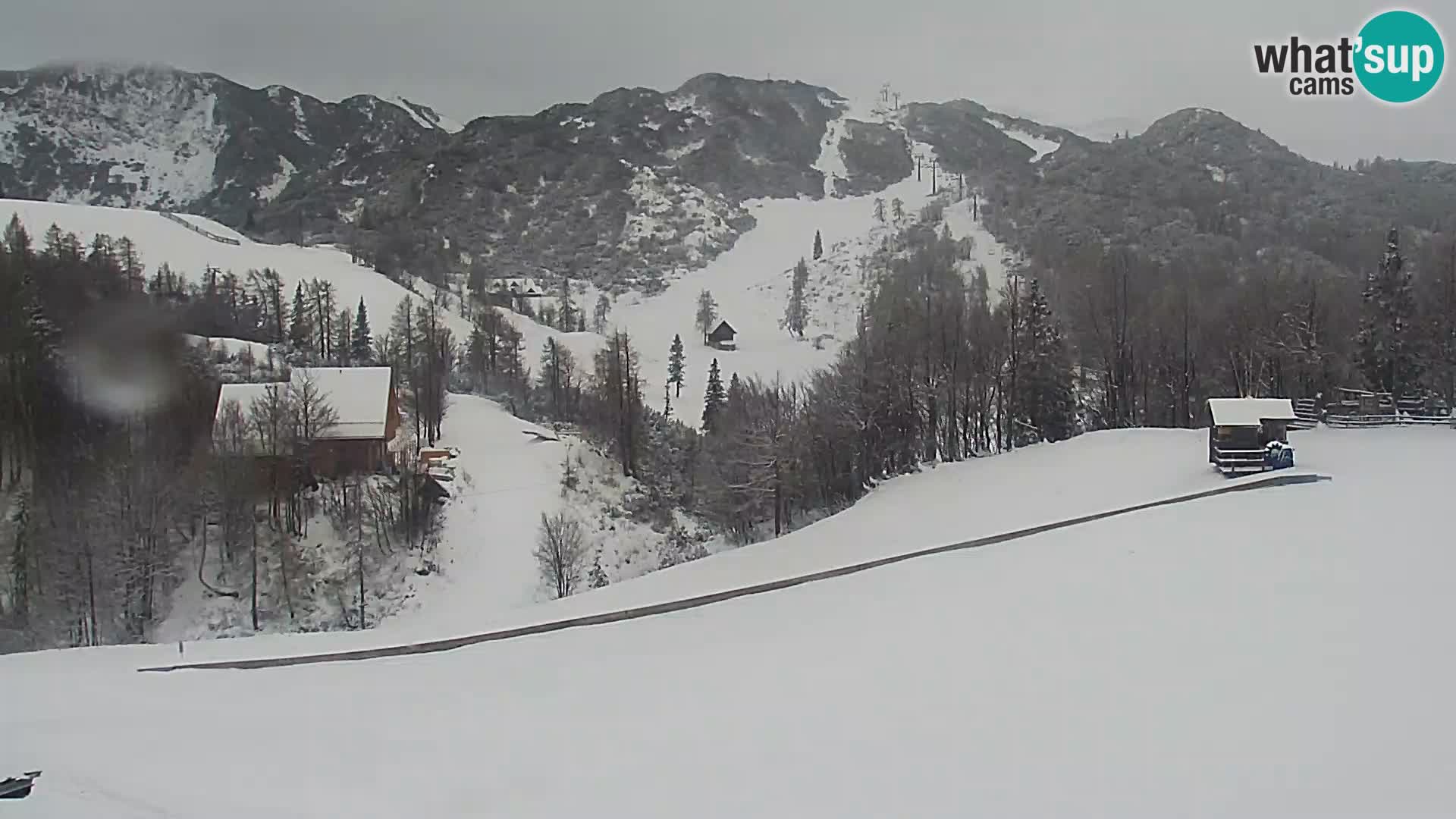 Webcam Skigebiet Vogel