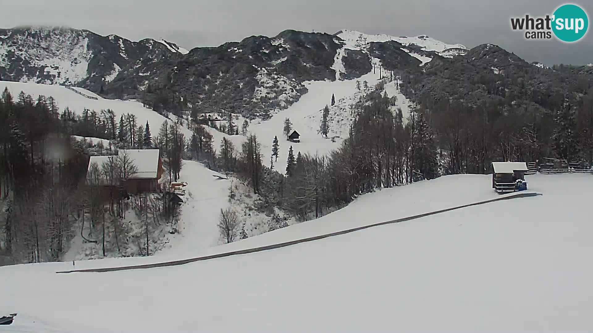 Webcam Skigebiet Vogel