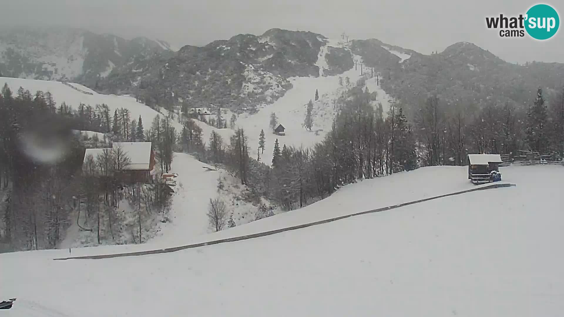 Webcam Skigebiet Vogel