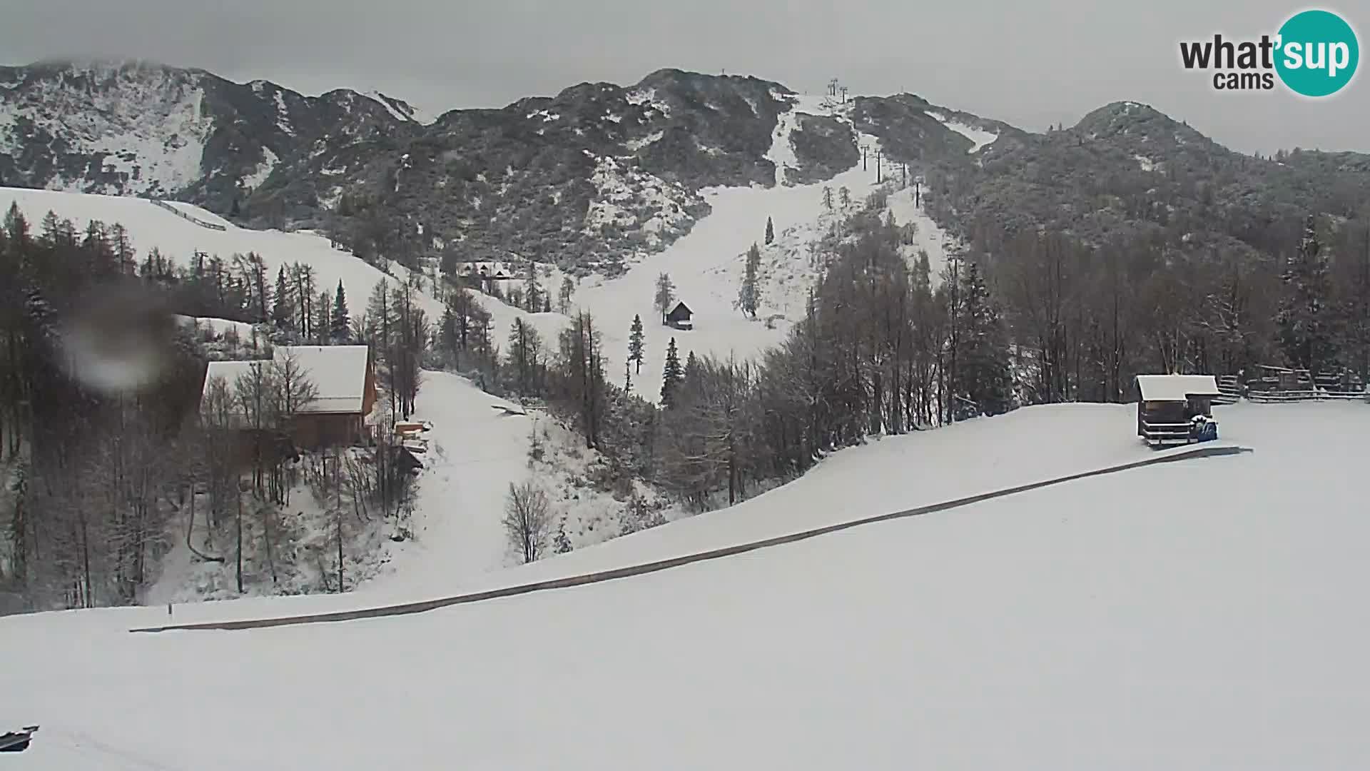 Webcam Skigebiet Vogel