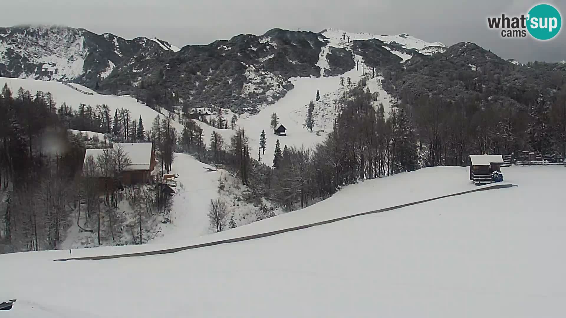 Webcam Skigebiet Vogel