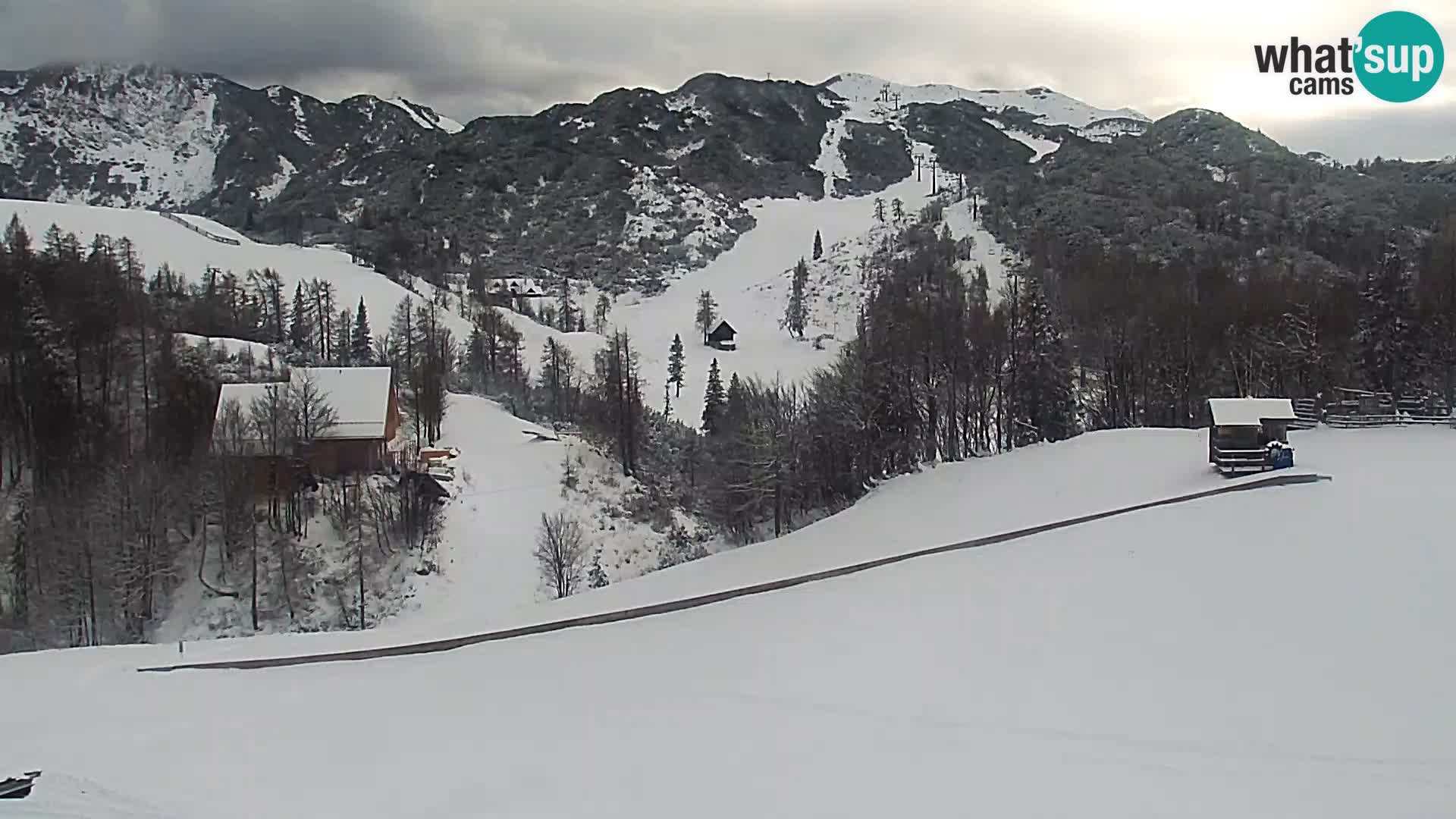 Webcam Skigebiet Vogel