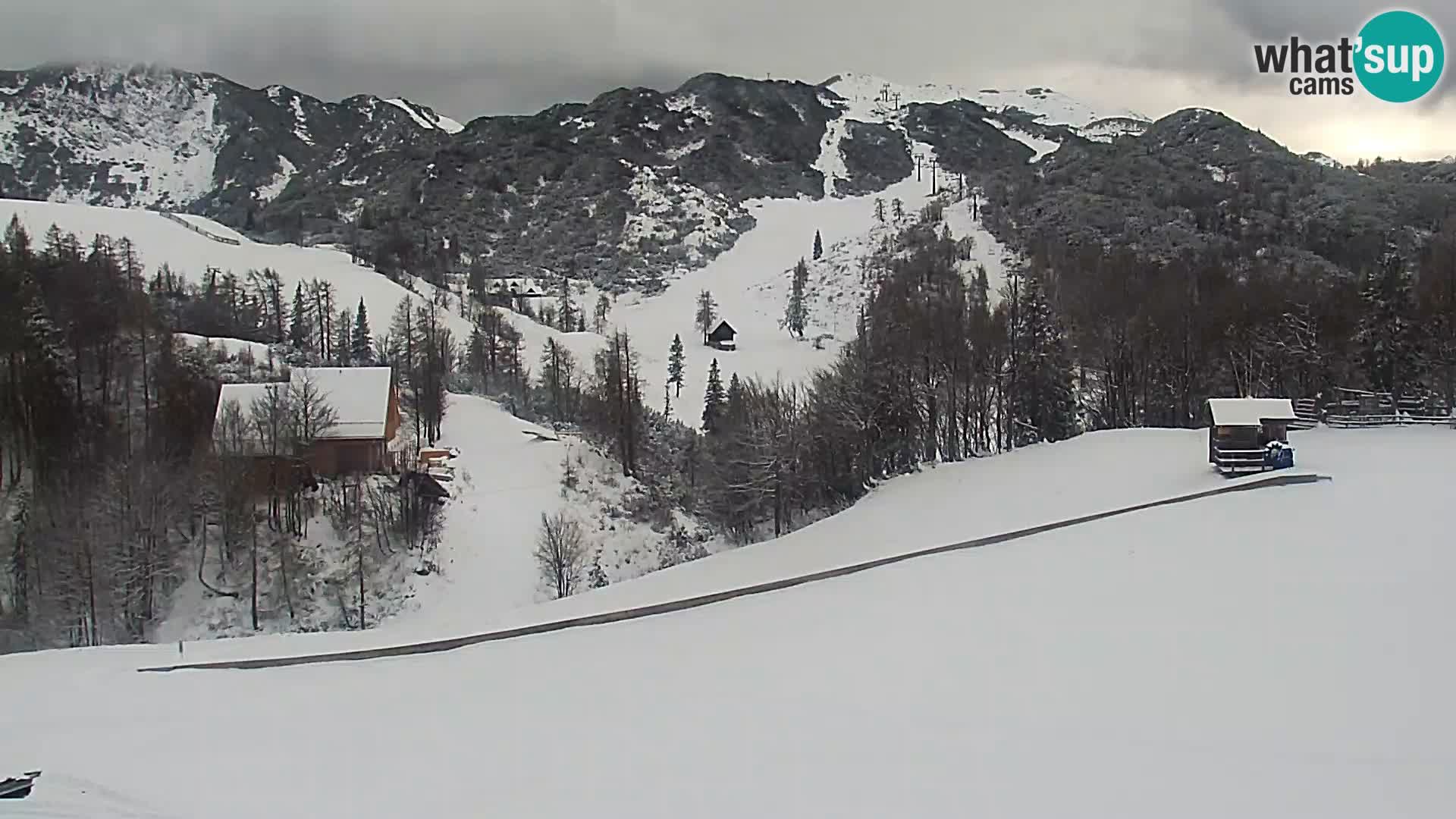 Webcam Skigebiet Vogel