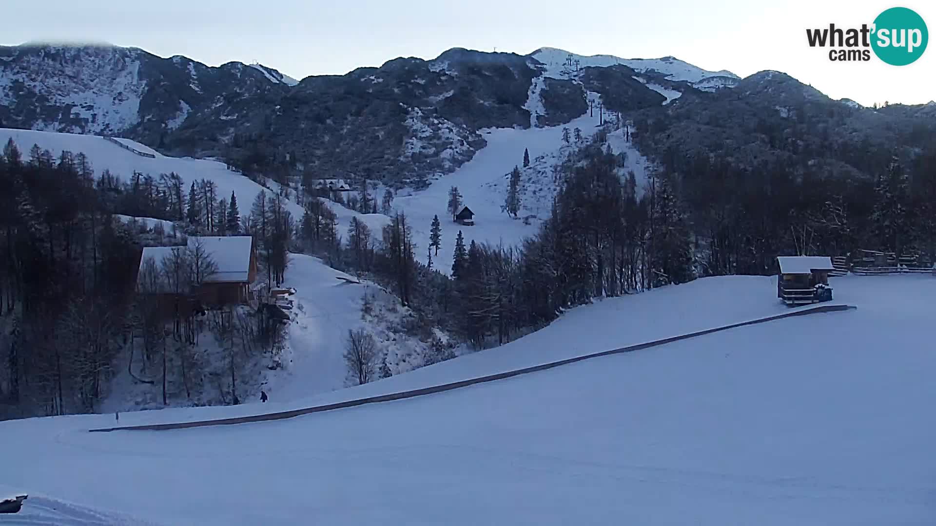 Webcam Skigebiet Vogel