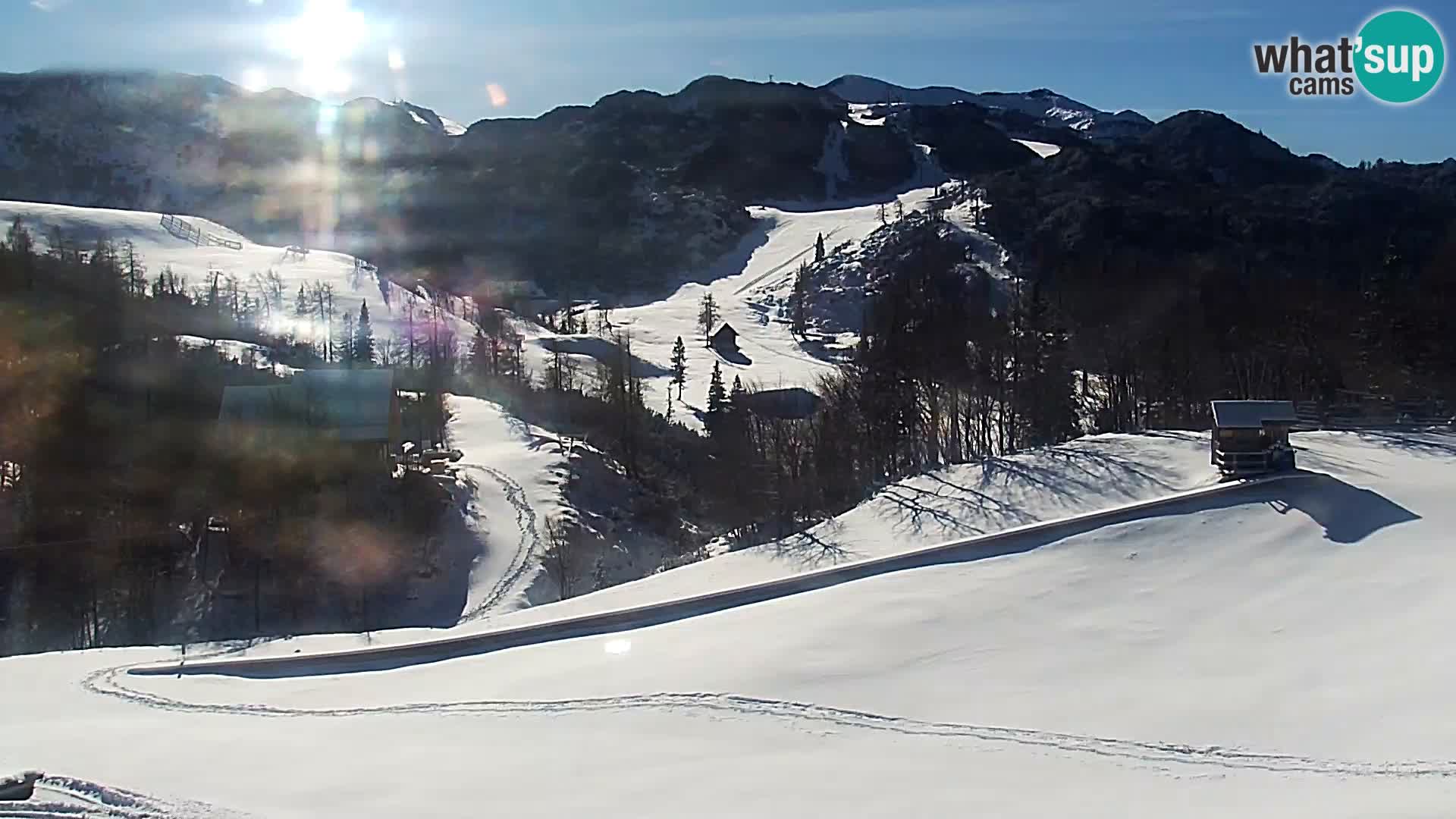 Webcam Skigebiet Vogel