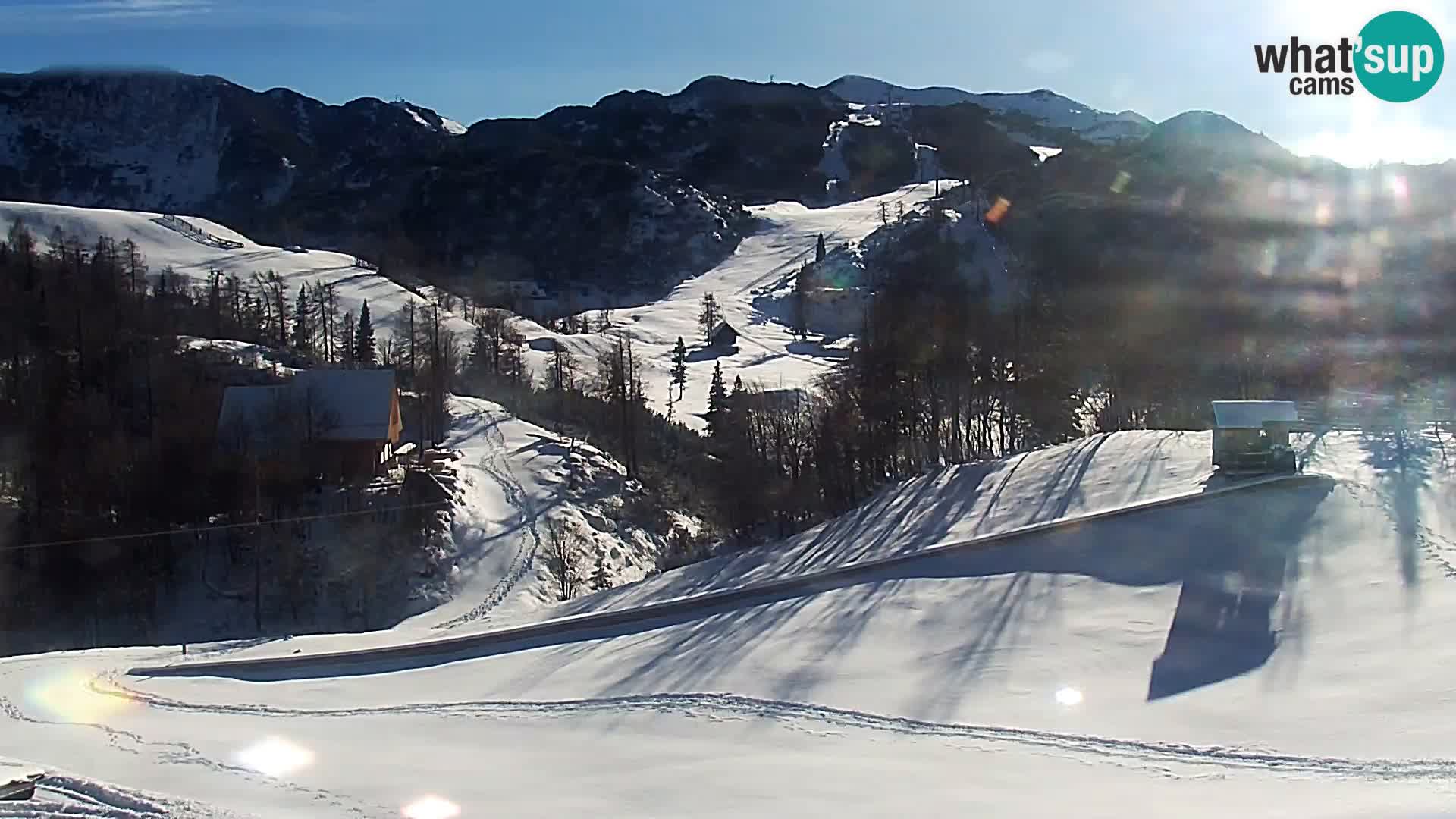 Webcam Skigebiet Vogel