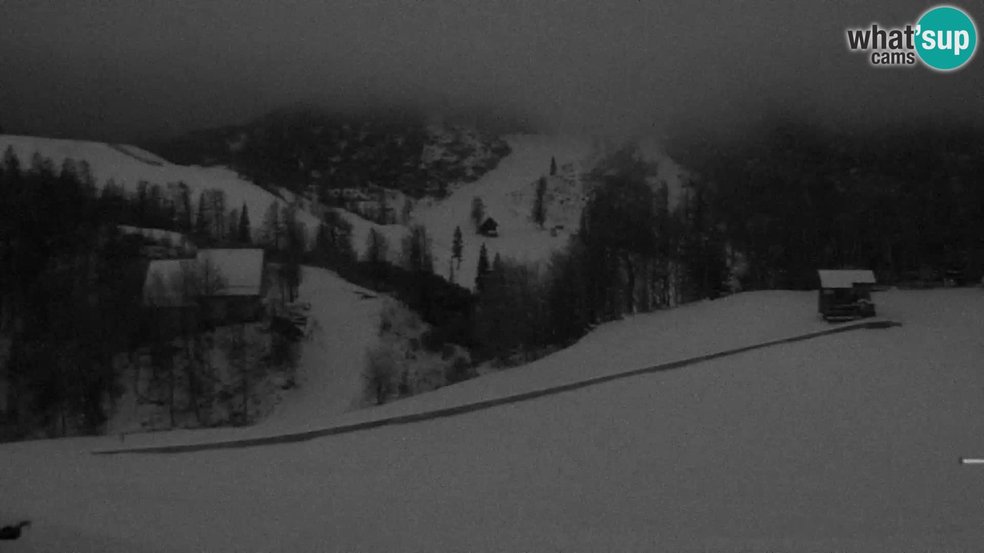 Webcam Skigebiet Vogel