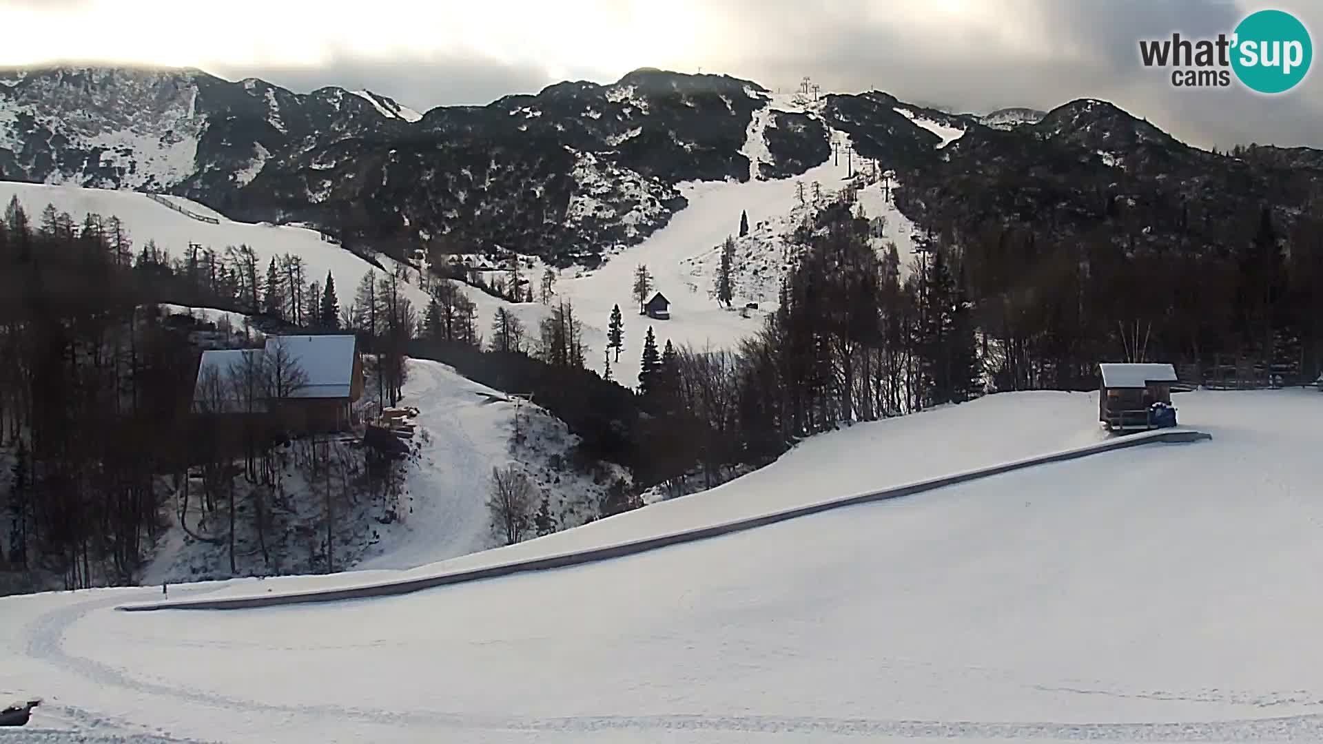 Webcam Skigebiet Vogel