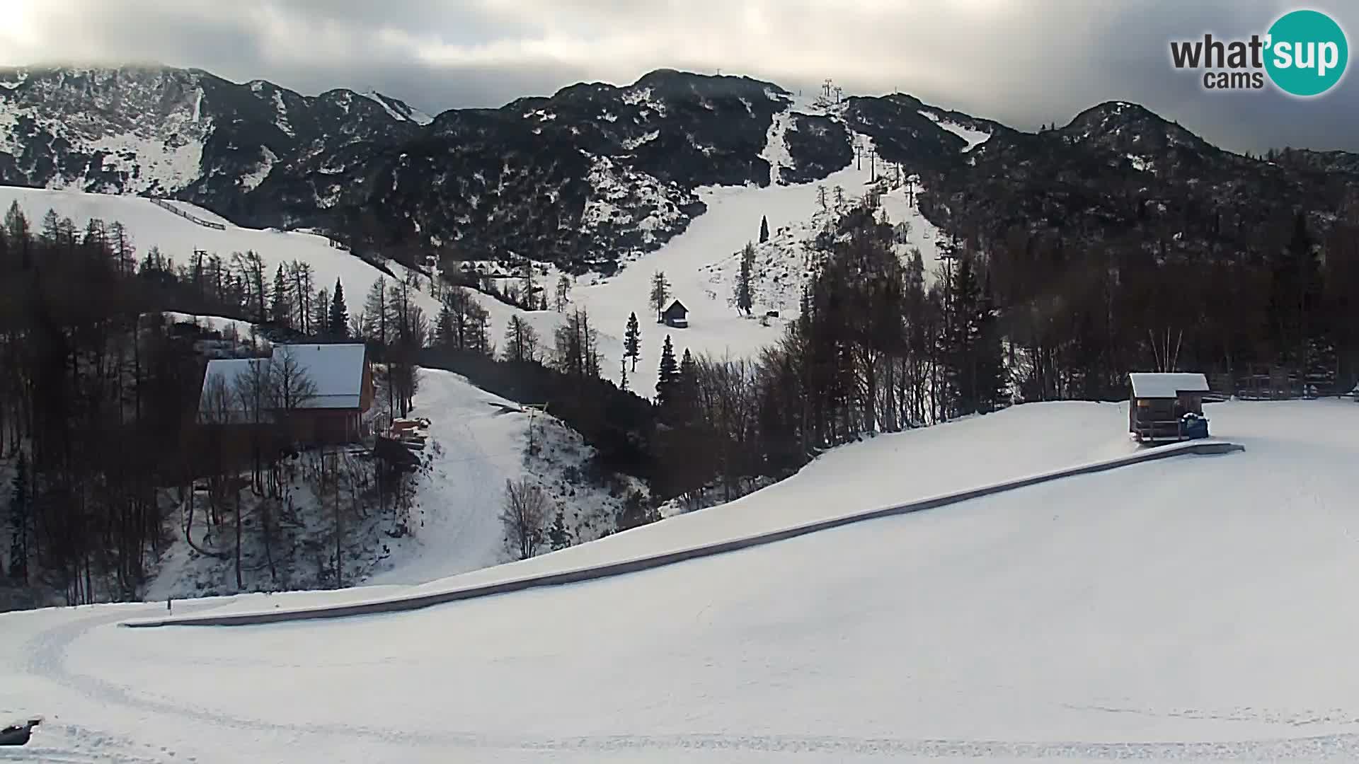 Webcam Skigebiet Vogel