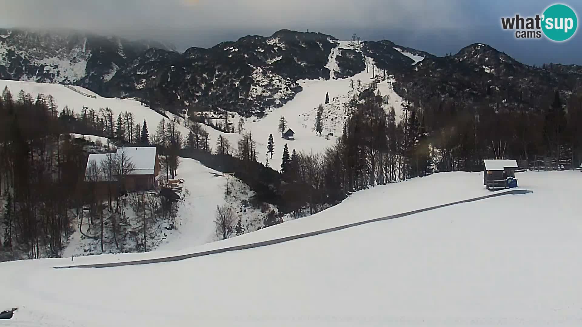 Webcam Skigebiet Vogel