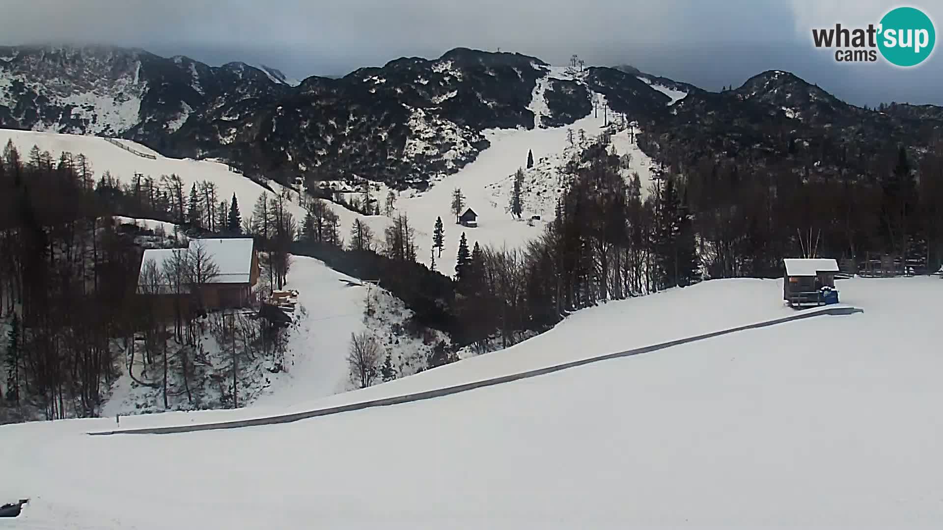 Webcam Skigebiet Vogel