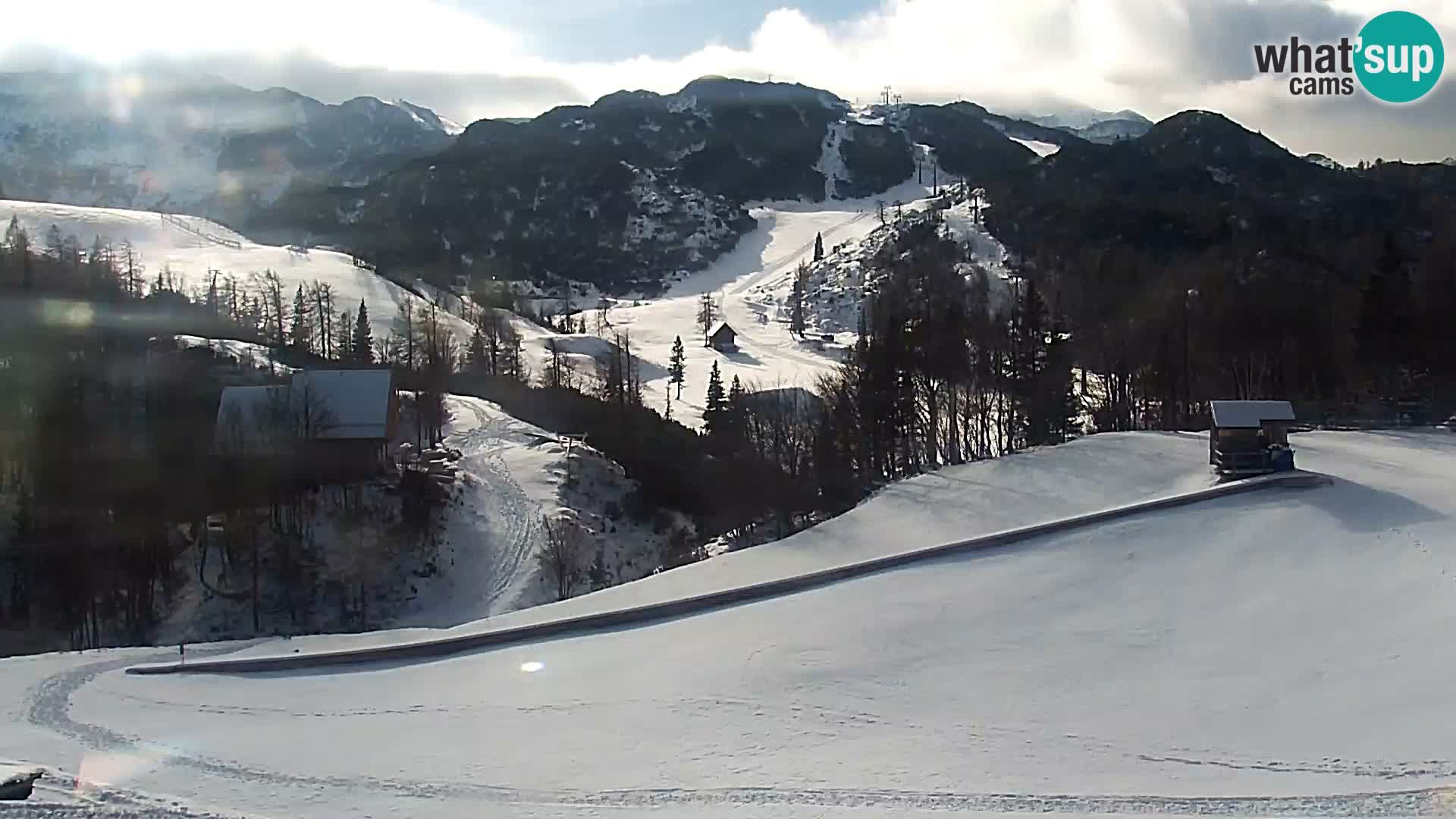 Webcam Skigebiet Vogel