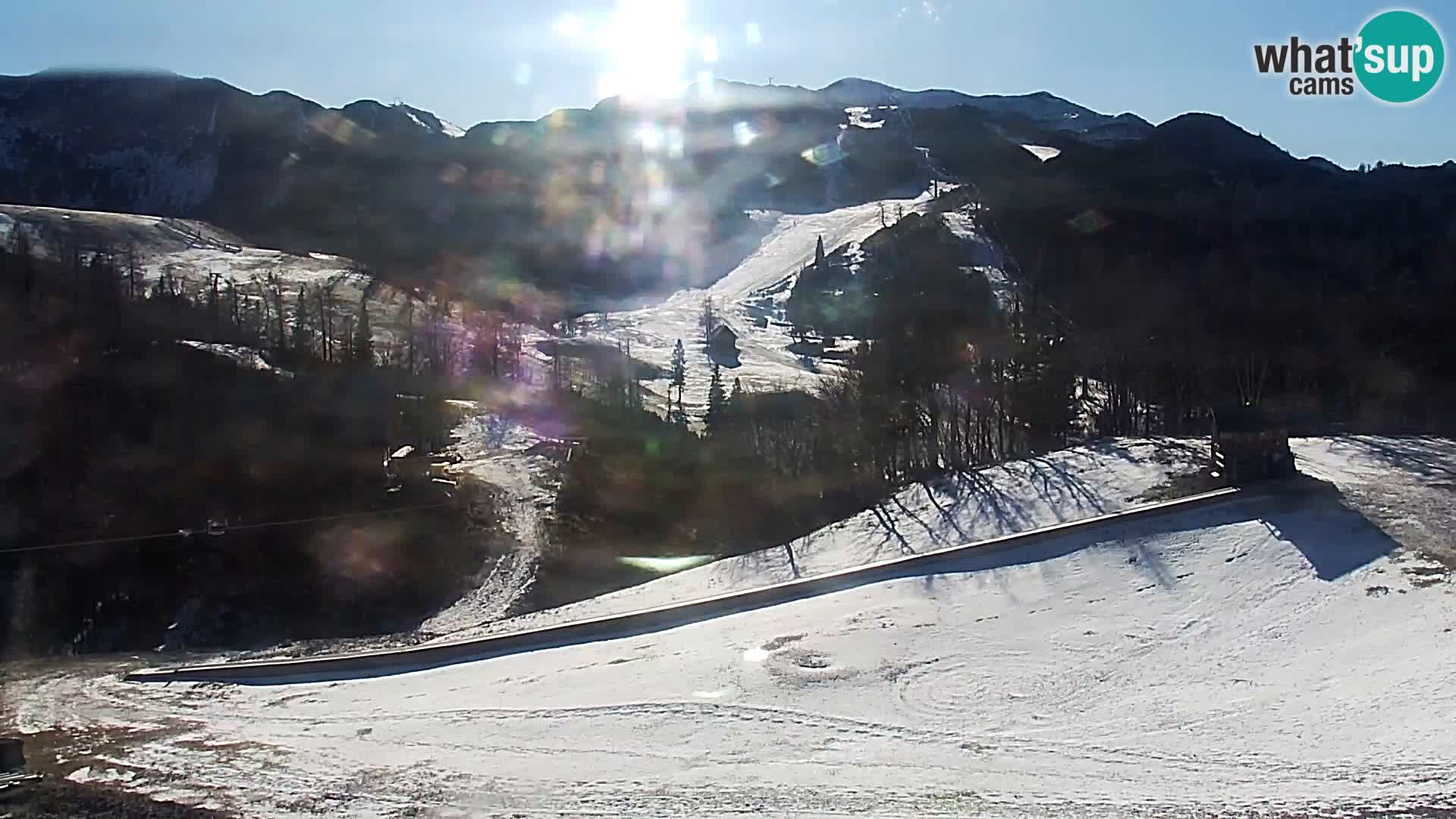 Webcam Skigebiet Vogel