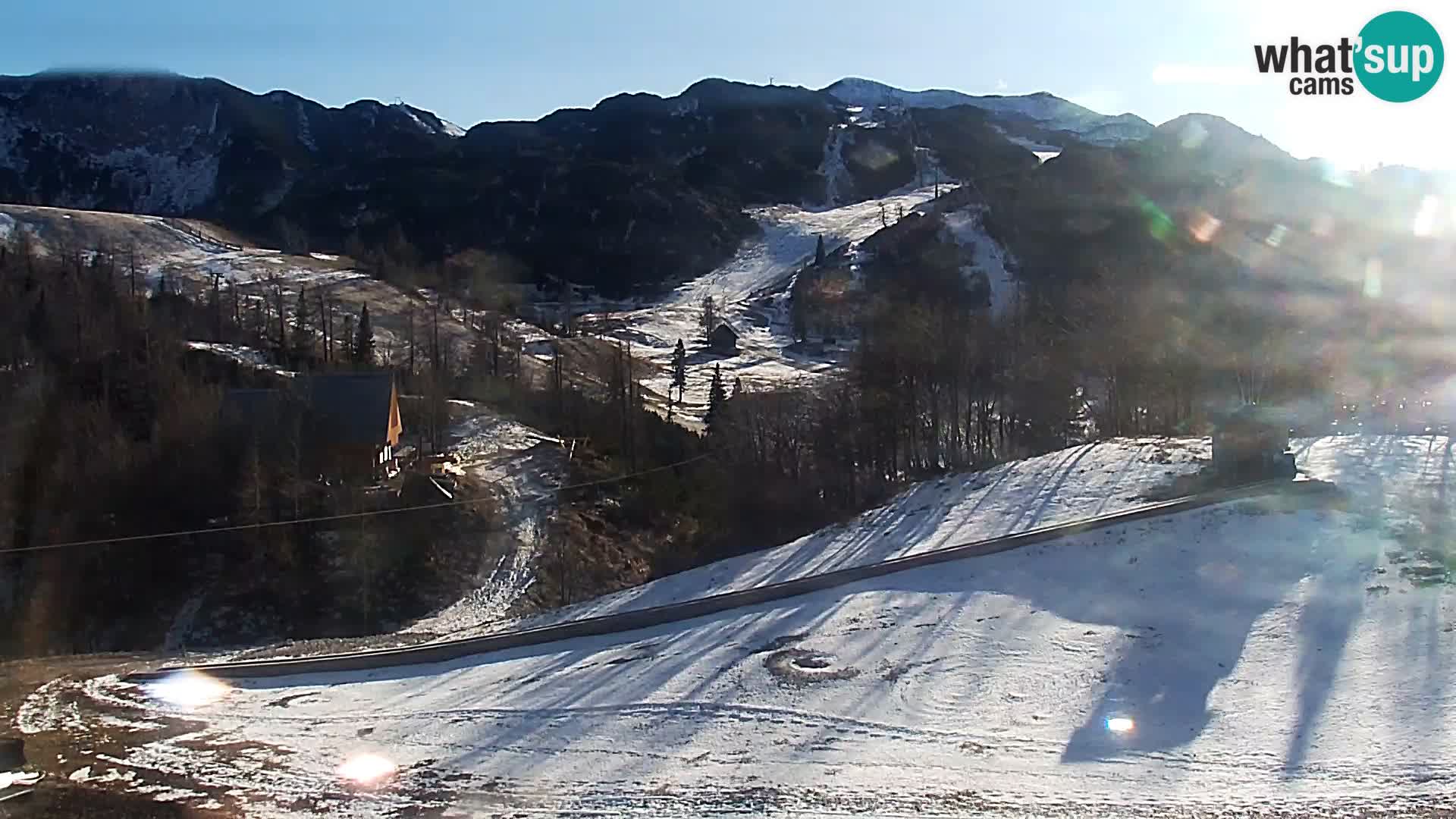 Webcam Skigebiet Vogel