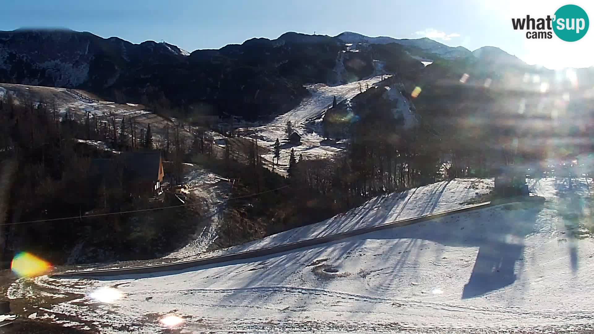 Webcam Skigebiet Vogel