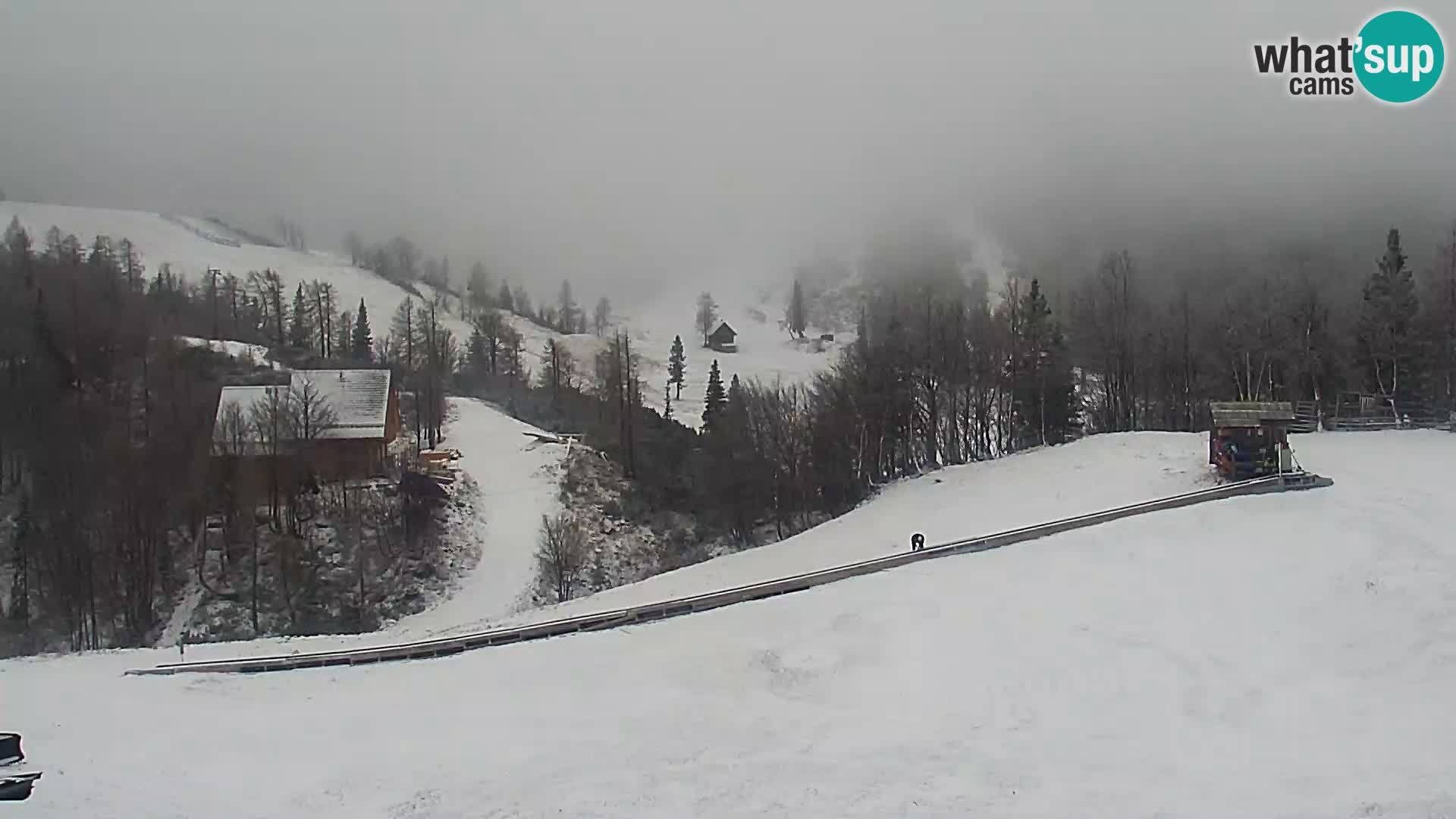 Webcam Skigebiet Vogel