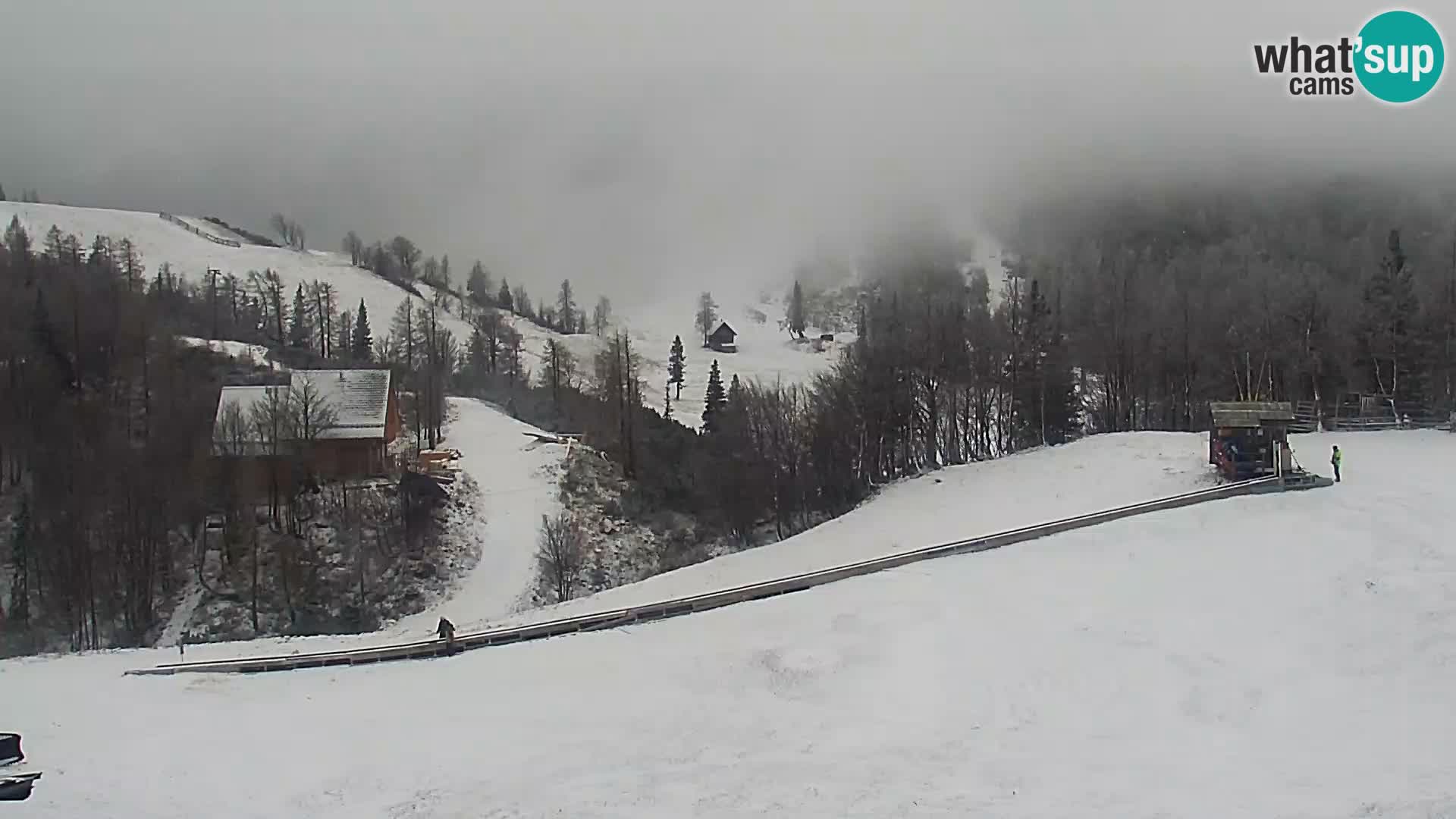 Webcam Skigebiet Vogel