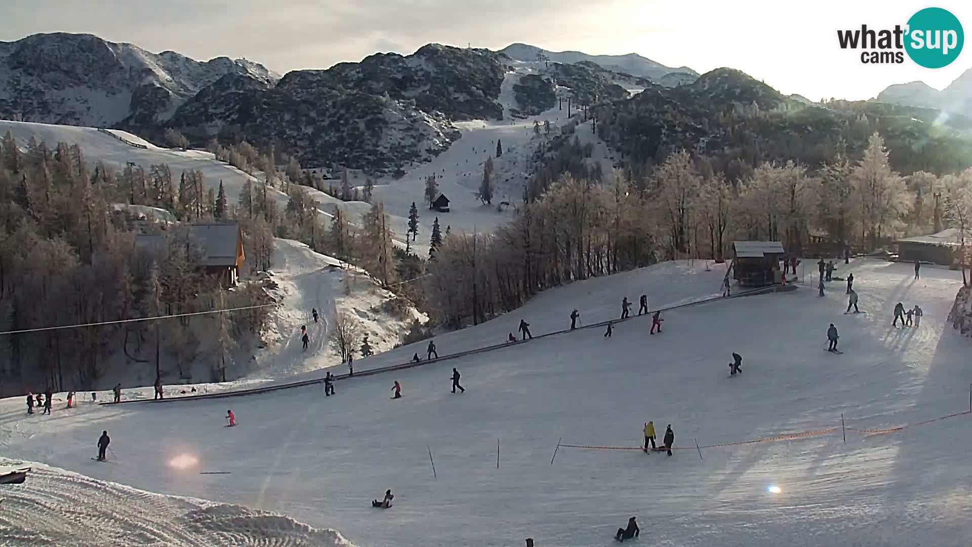 Webcam Ski resort Vogel